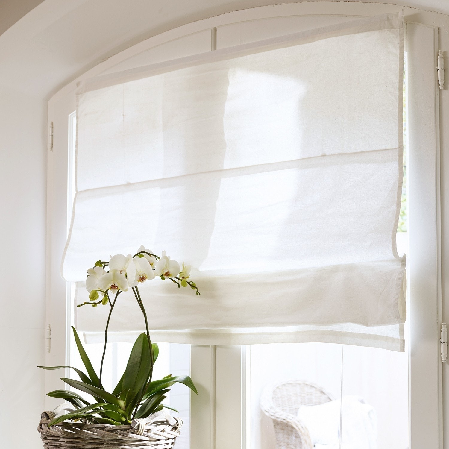 Faltrollo Fides Weiße römische Leinenvorhänge am Fenster mit weißer Orchidee im Korb