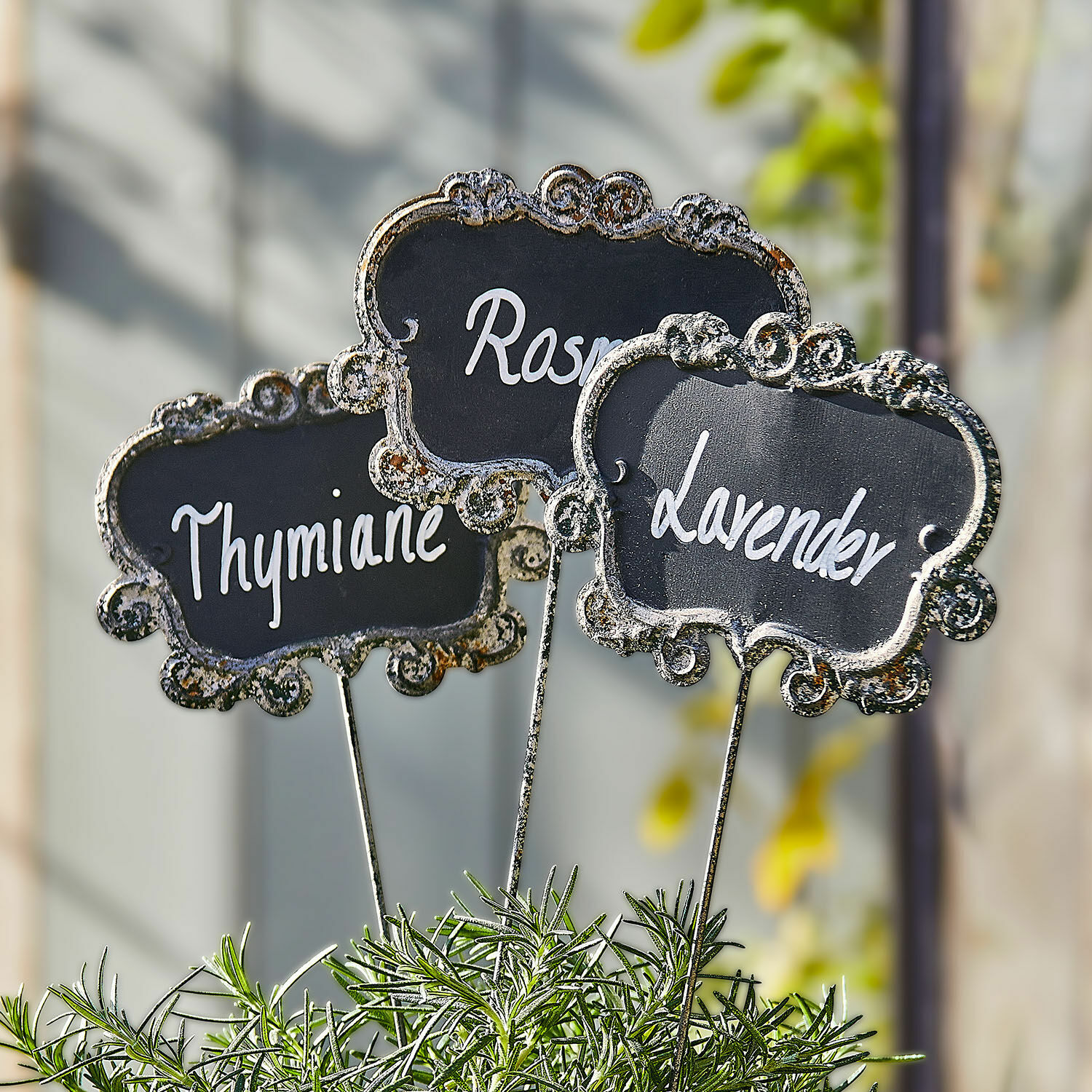 Pflanzenstecker 3er Set Trevalin Metall-Kräuterschilder für Thymian, Rosmarin und Lavendel in einem Topf mit grünen Blättern