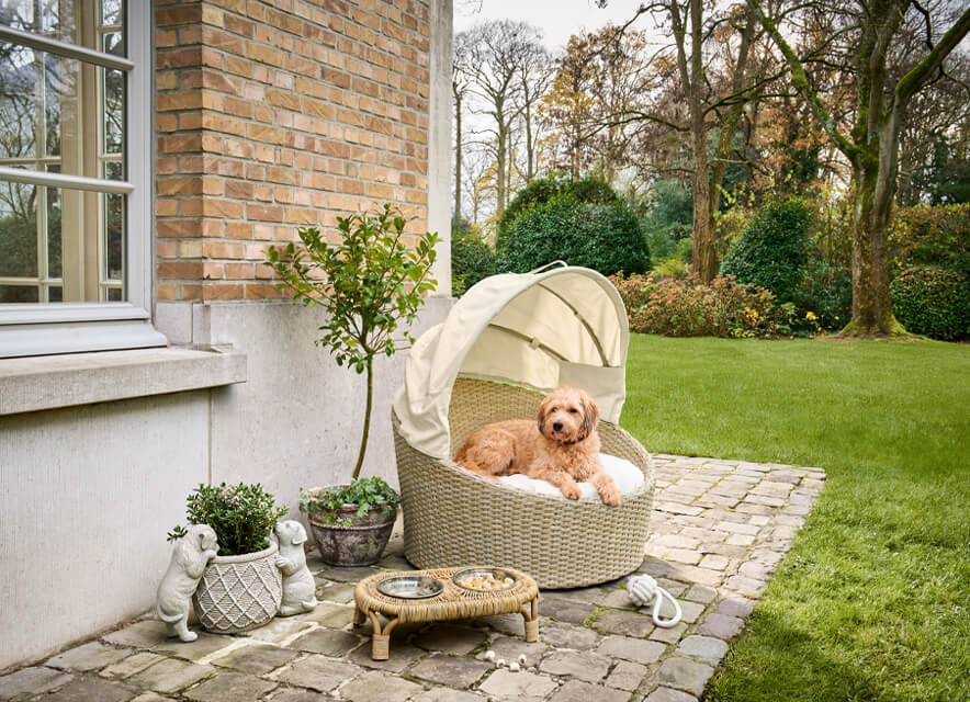 Strandkorbfeeling für vier Pfoten