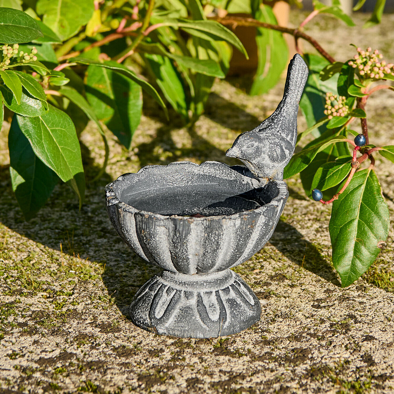 Grauer Vogeltränke aus Gusseisen mit Vogel-Figur, dekorativ für Garten und Vogelpflege