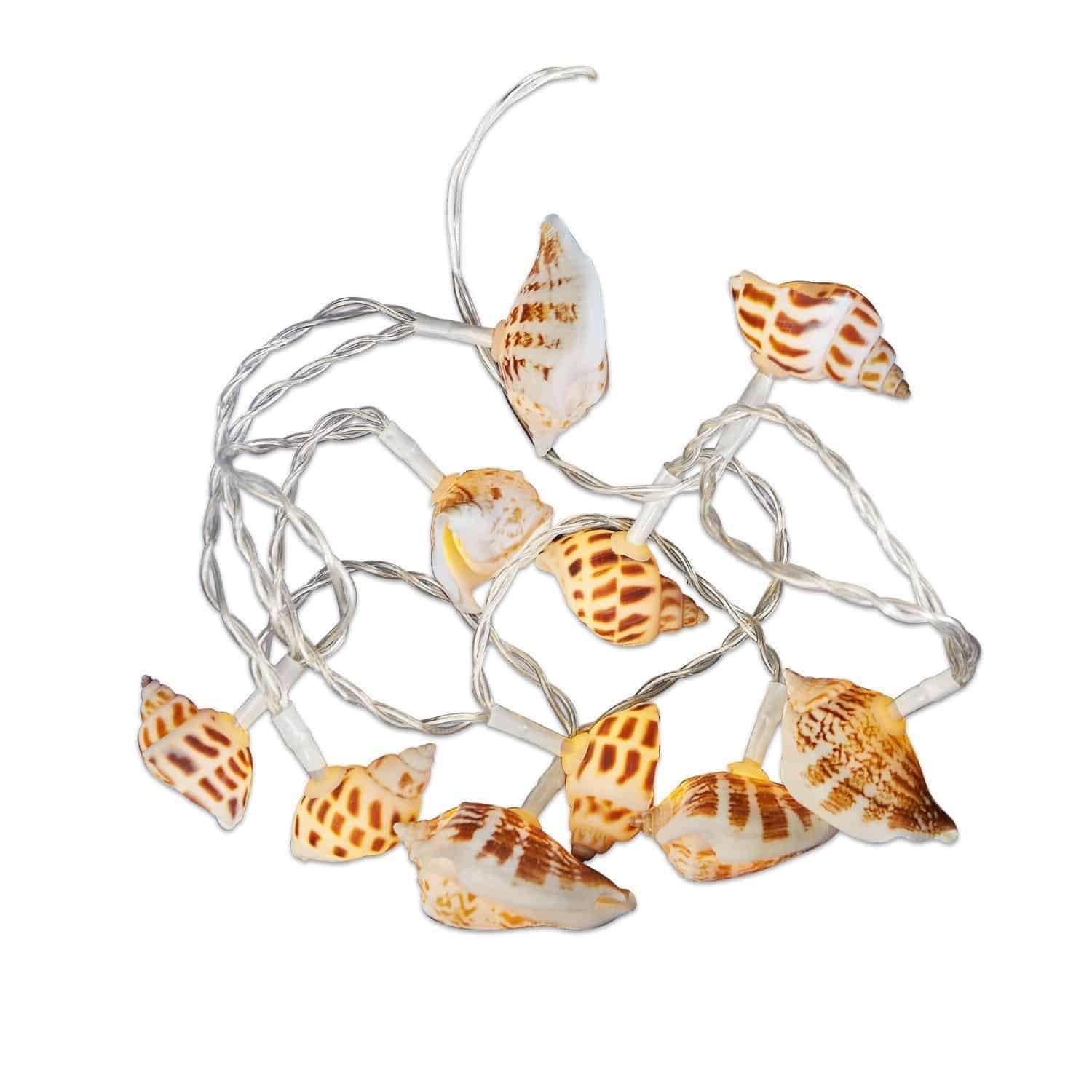 Lichterkette Muscheln