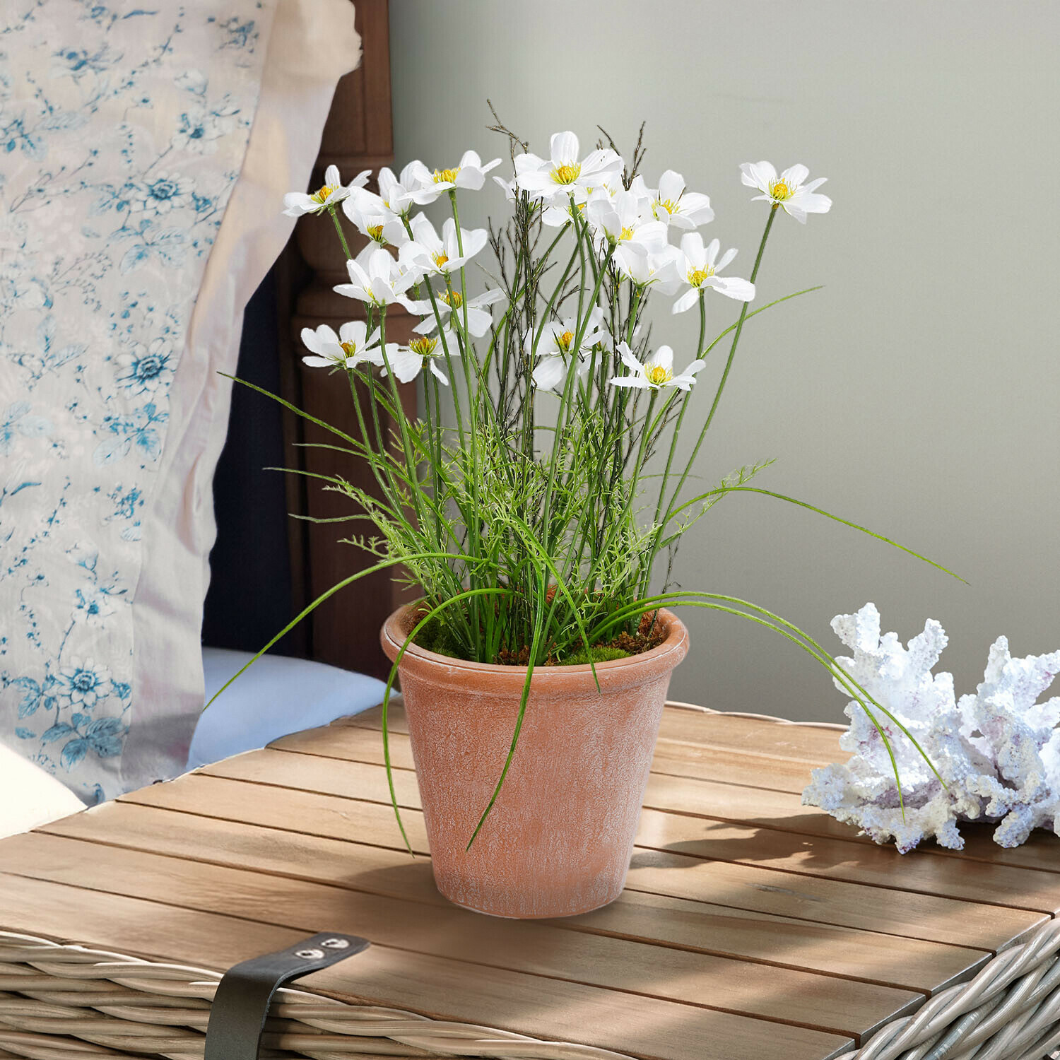 Weiße Blüten in Terrakottatopf auf Holztisch, grüne Blätter, Wohnraumdekoration