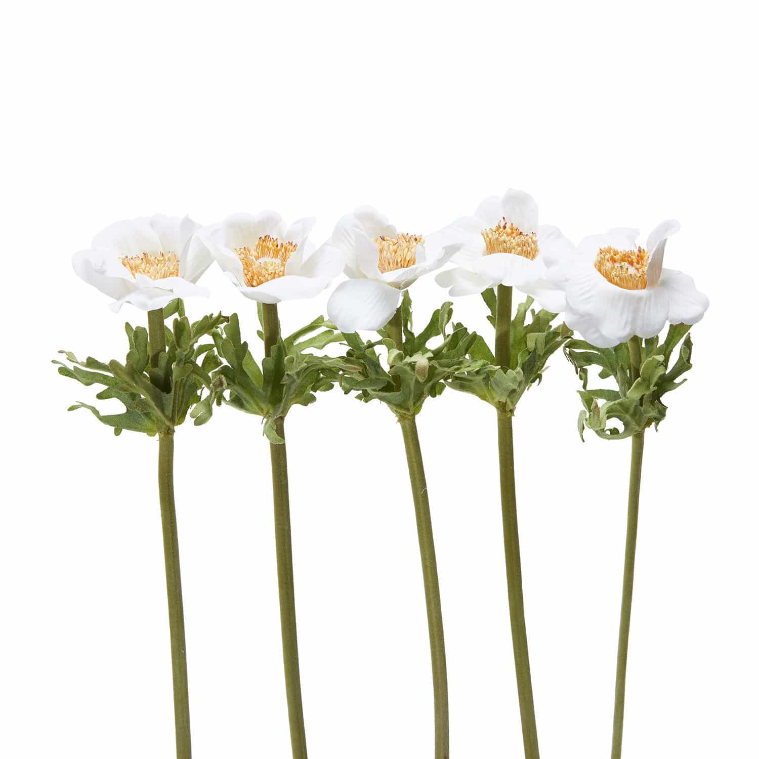 Dekoblume Christrose 5er Set Grain