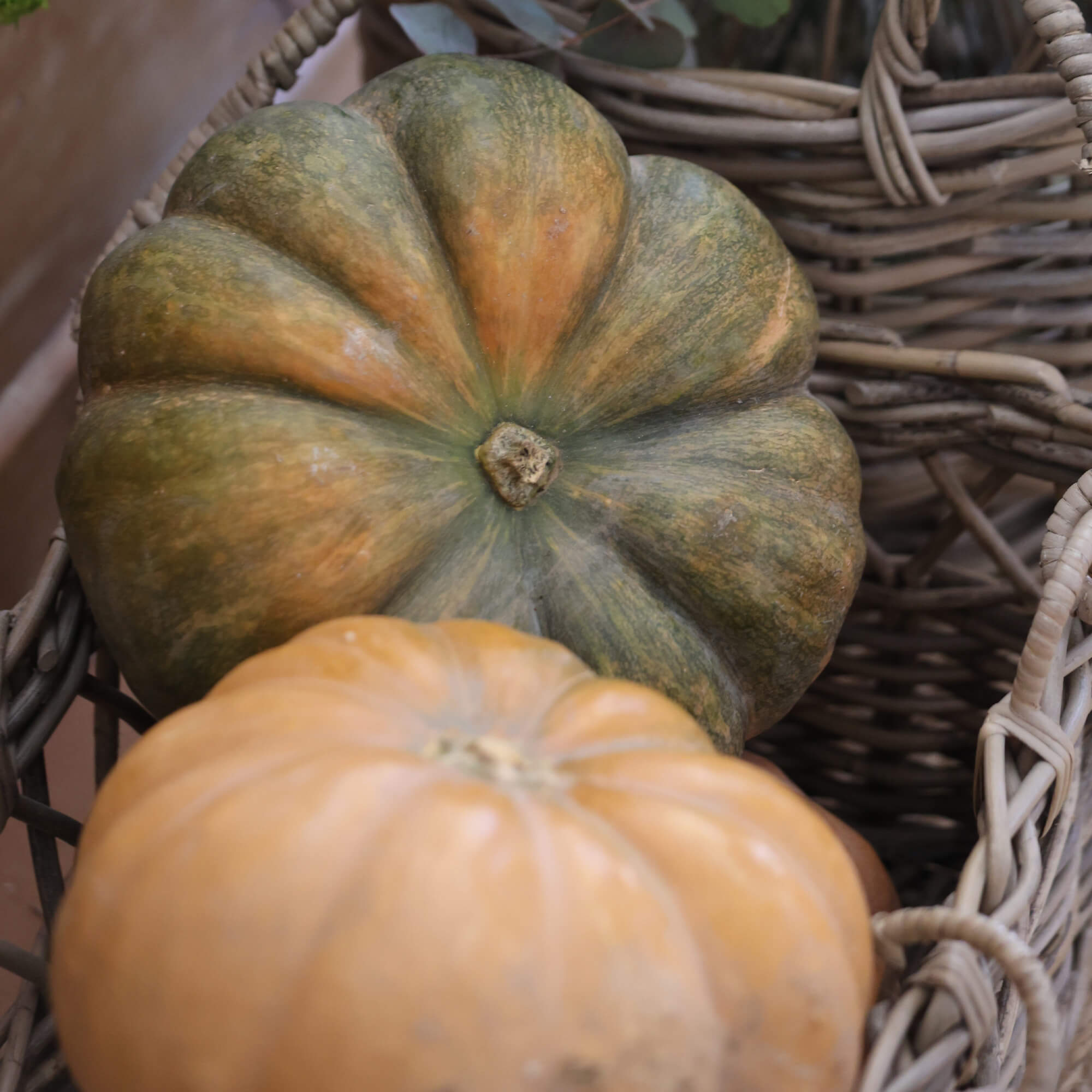 Zwei Kürbisse in einem Weidenkorb, grün-orange und hellorange, herbstliche Dekoration