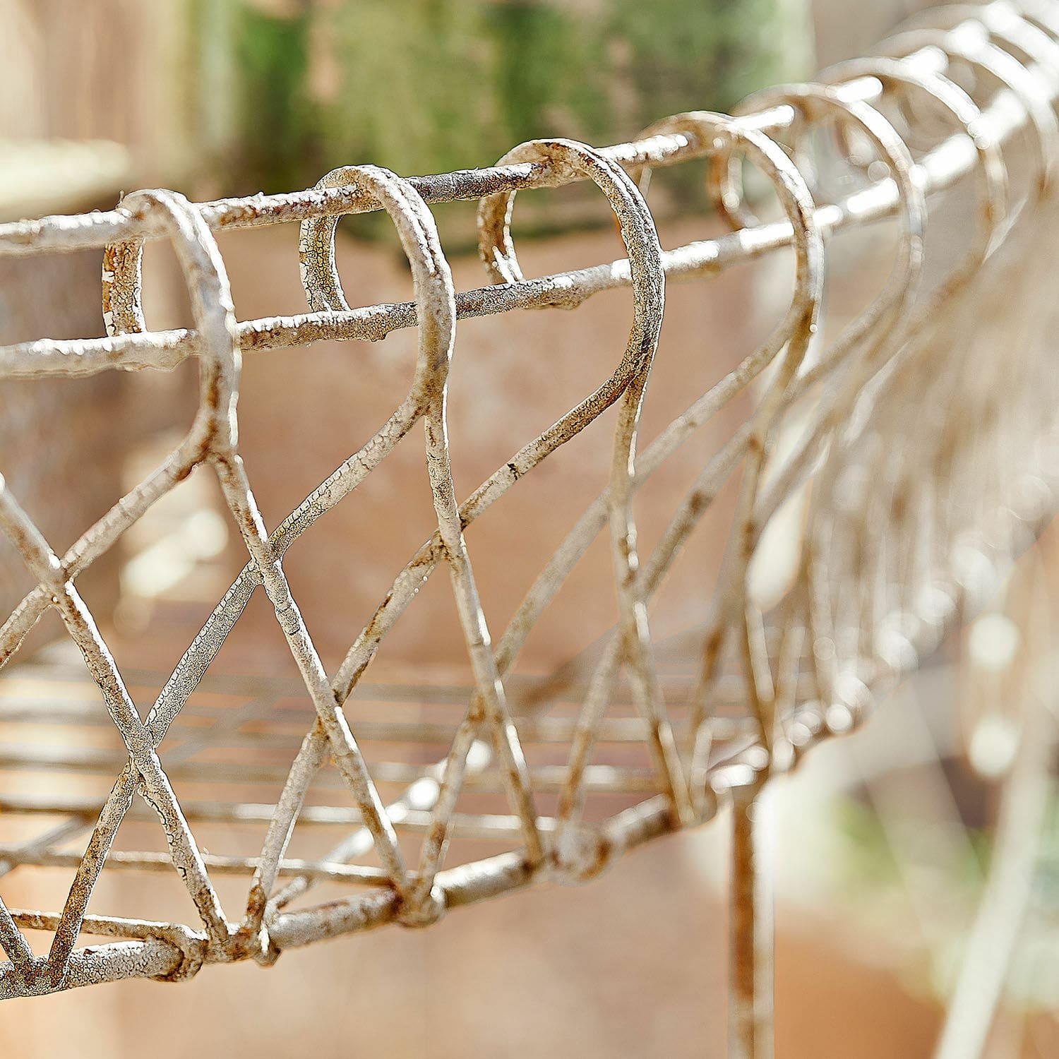 Pflanzregal Pacentro