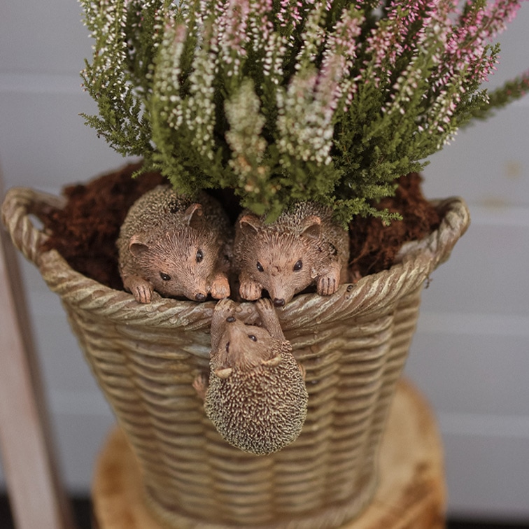 Kunststofftopf in Korboptik mit drei Igel-Dekorationen und grün-rosa blühendem Heidekraut