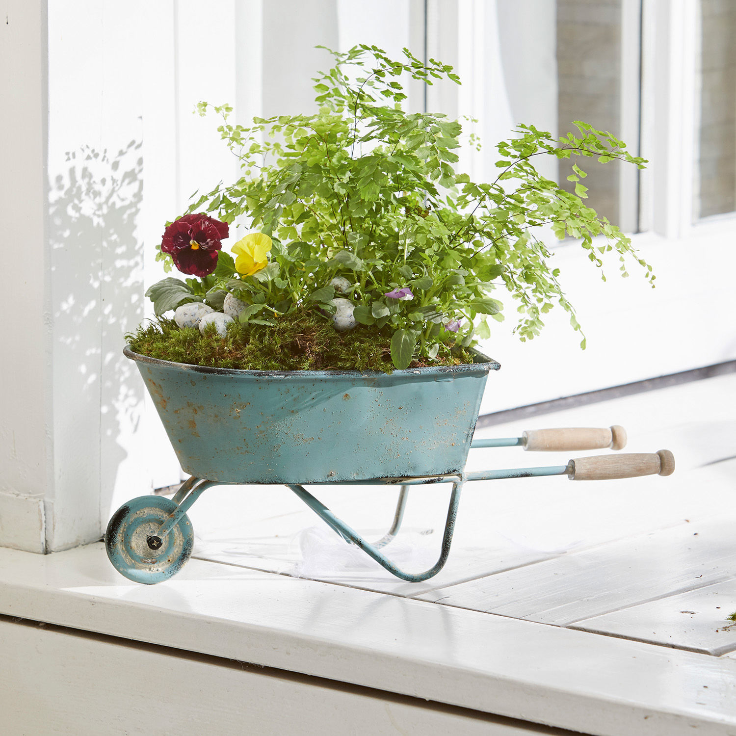 Blaue Metallschubkarre mit Holzgriffen, gefüllt mit grünen Pflanzen und Blumen auf Fensterbank