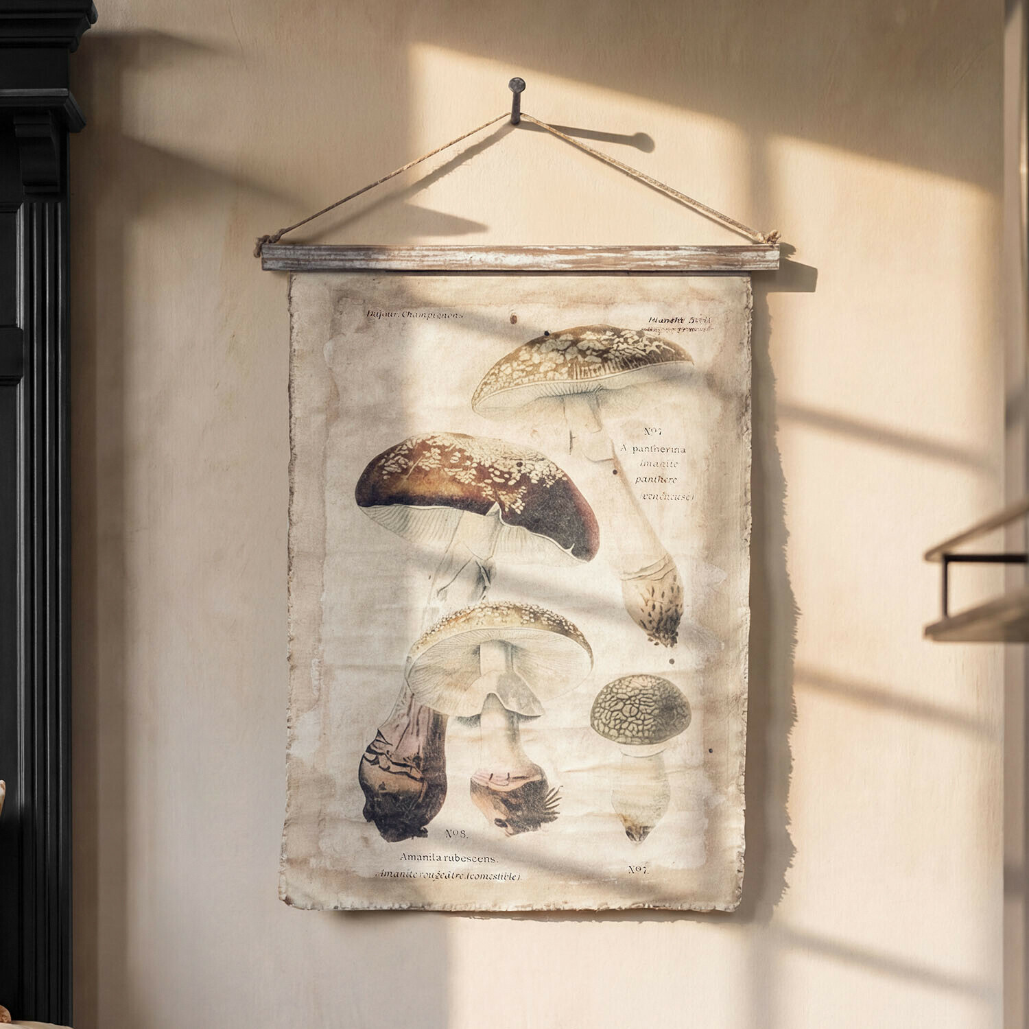 Bild Rynmor