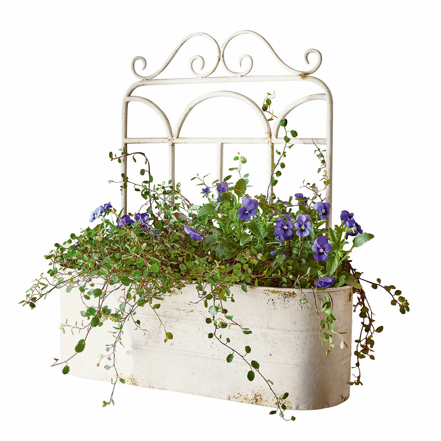 Pflanzkorb Marwin Weißer Metall-Blumenkasten mit violetten Blumen und grünem Laub für Gartendekor