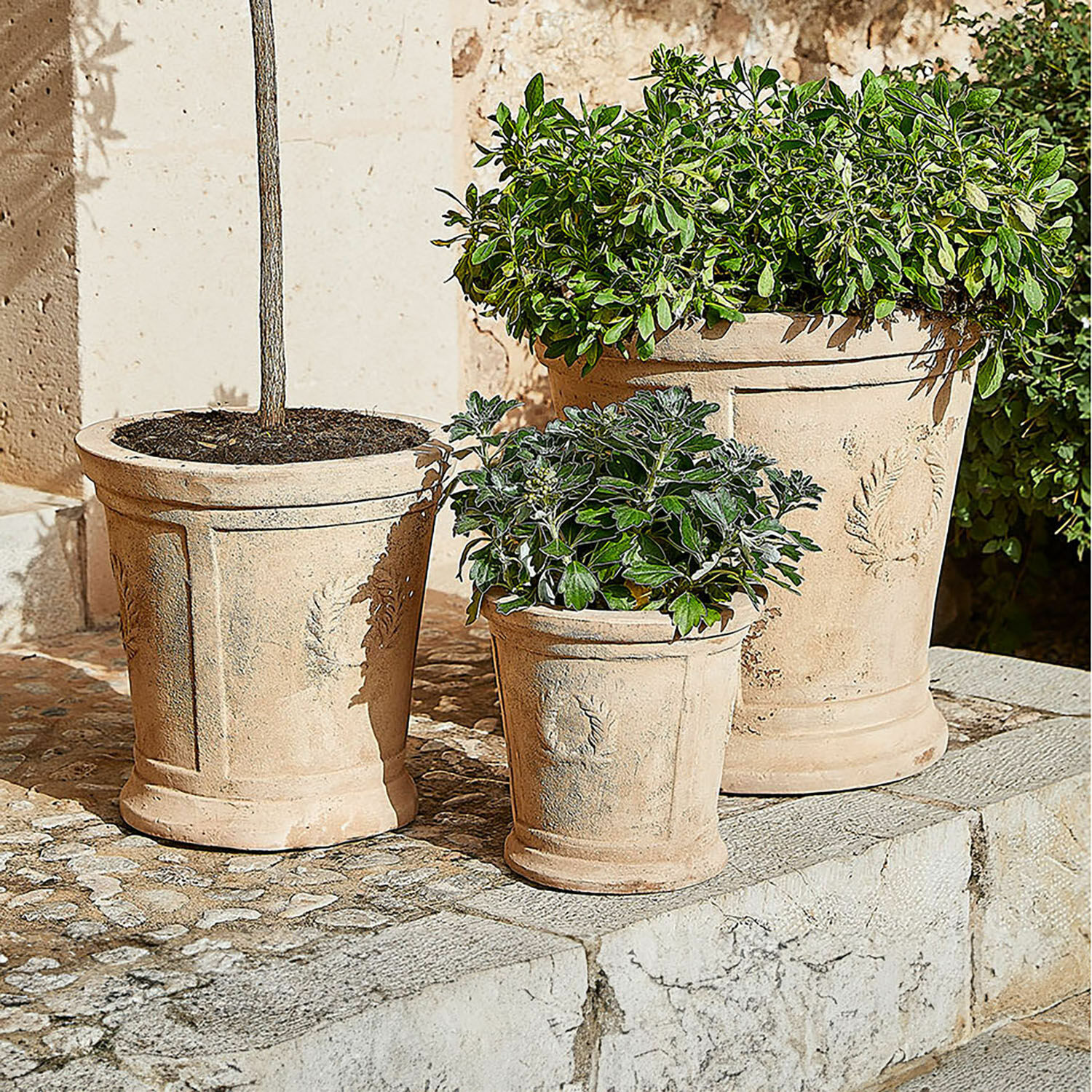 Übertopf 3er Set Nesrin Drei beige Terrakotta-Blumentöpfe mit Pflanzen auf steinerner Terrasse, dekorative Gartentöpfe
