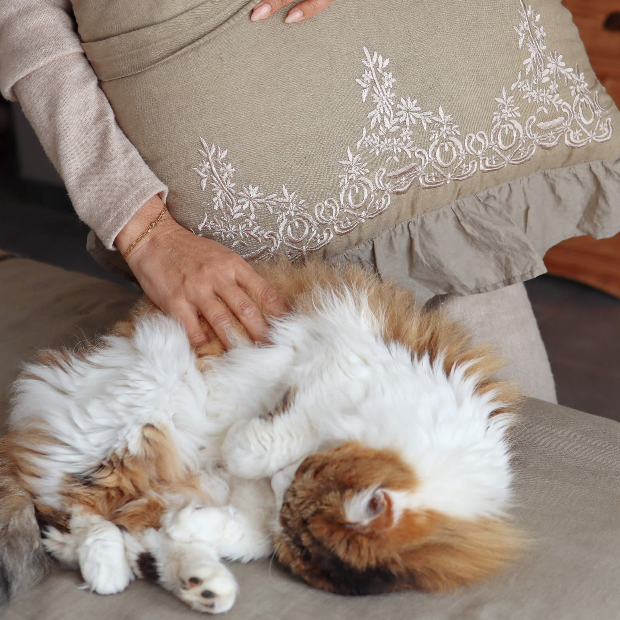 Hand streichelt flauschige weiß-rote Katze auf beigem Sofa mit besticktem Kissen