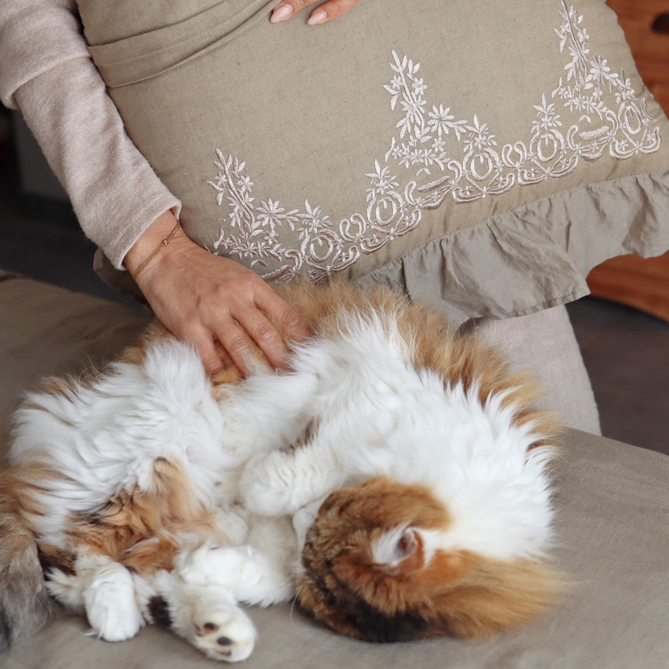 Hand streichelt flauschige weiß-rote Katze auf beigem Sofa mit besticktem Kissen