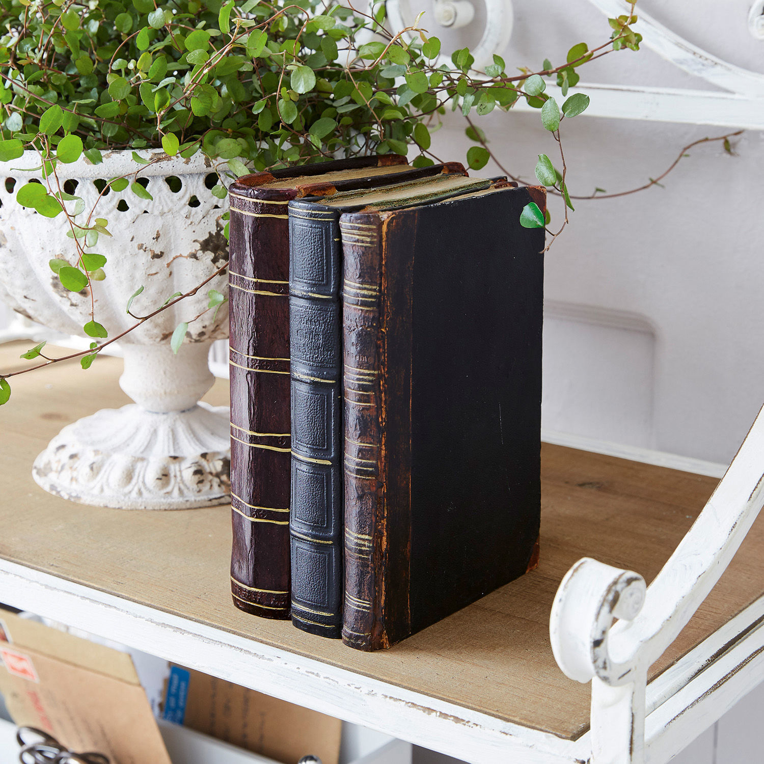 Deko-Buch Boaz Drei alte Bücher aus dunklem Leder auf einem Holztisch neben einem weißen Topf mit grüner Pflanze