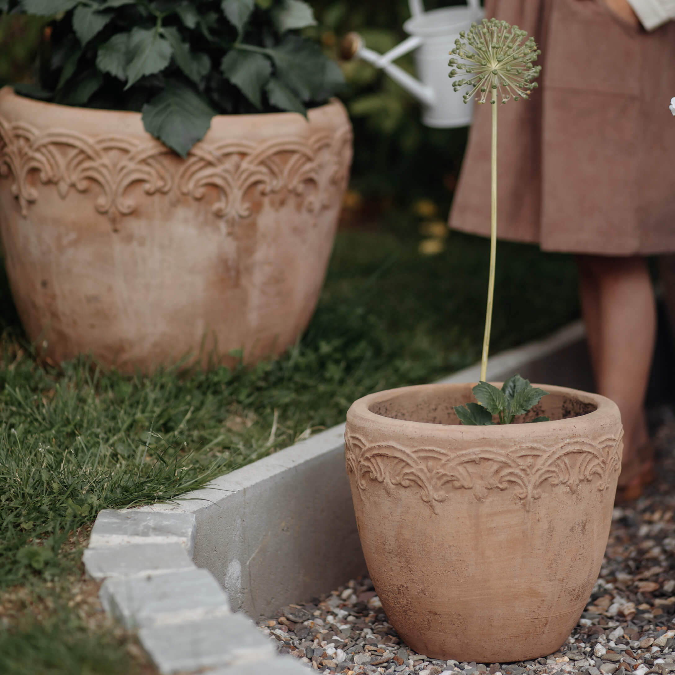 Terrakotta-Blumentopf mit dekorativem Muster in natürlichem Beige im Garten