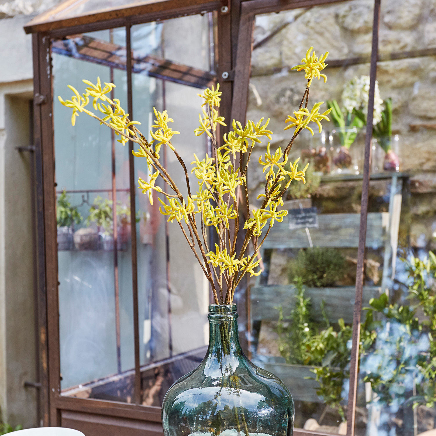 Dekoblume 3er Set Gillery Gelbe Zweige in großer grüner Glasflasche vor Garten und Gewächshaus
