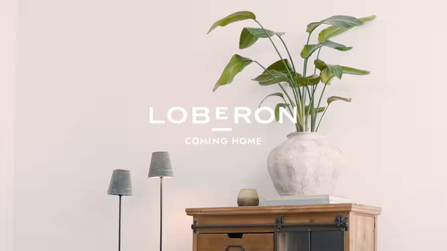 Weiße Keramikvase mit grünen Blättern auf Holzkommode in modernem Wohnraum