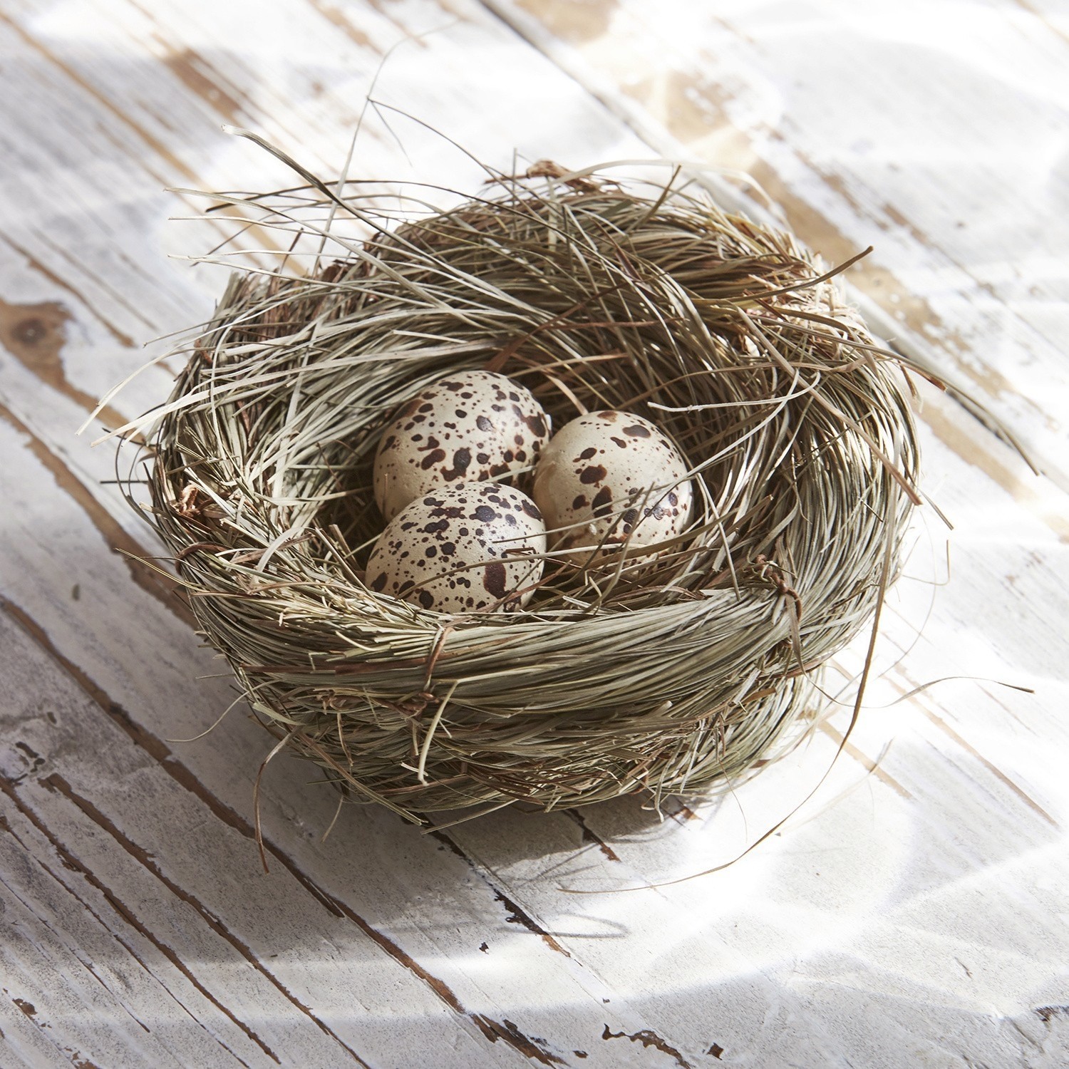 Osternest Twiggy