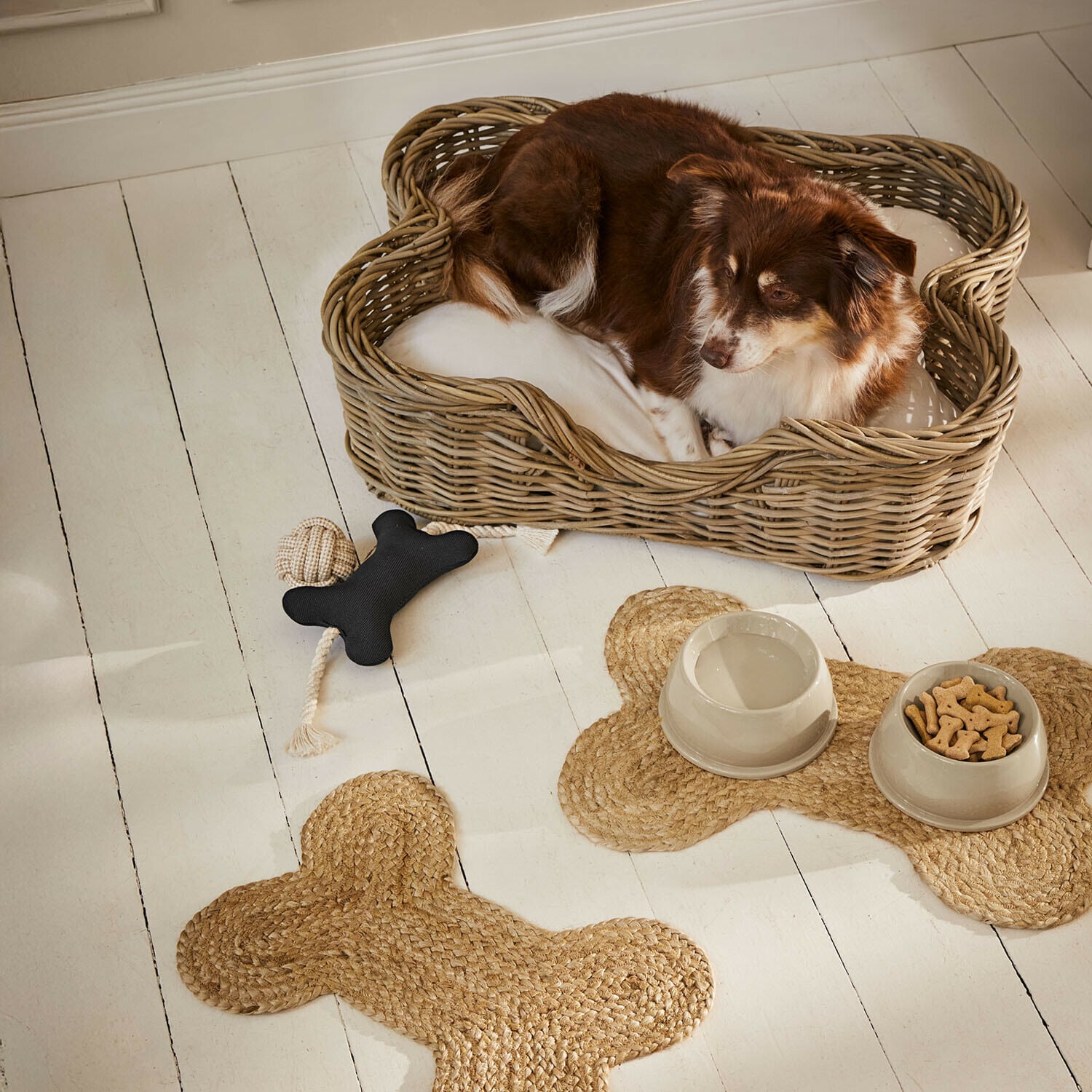 Hundespielzeug Wuffsy
