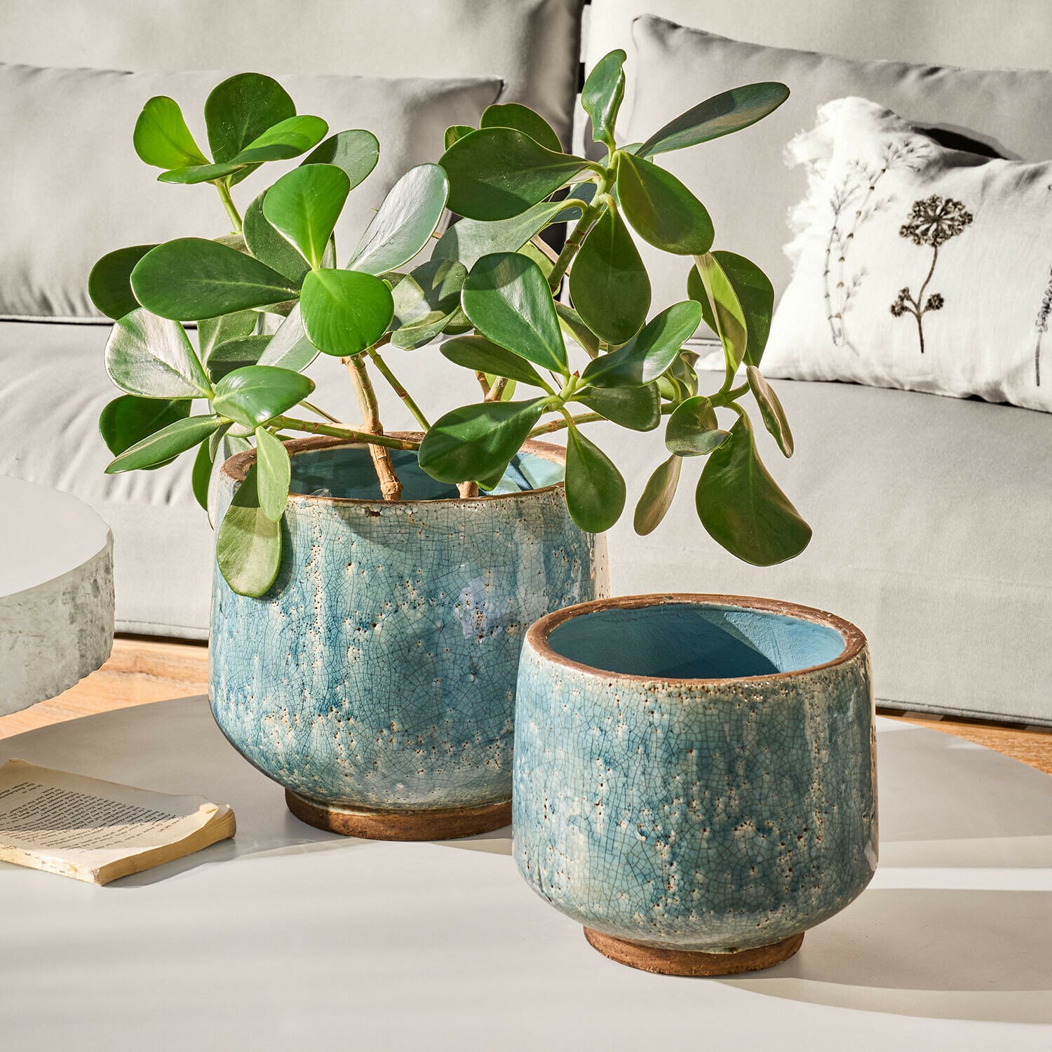 Übertopf 2er Set Mavoreta Zwei blaue Keramikblumentöpfe mit Rissglasur, einer mit grüner Pflanze, auf weißem Tisch im Wohnzimmer