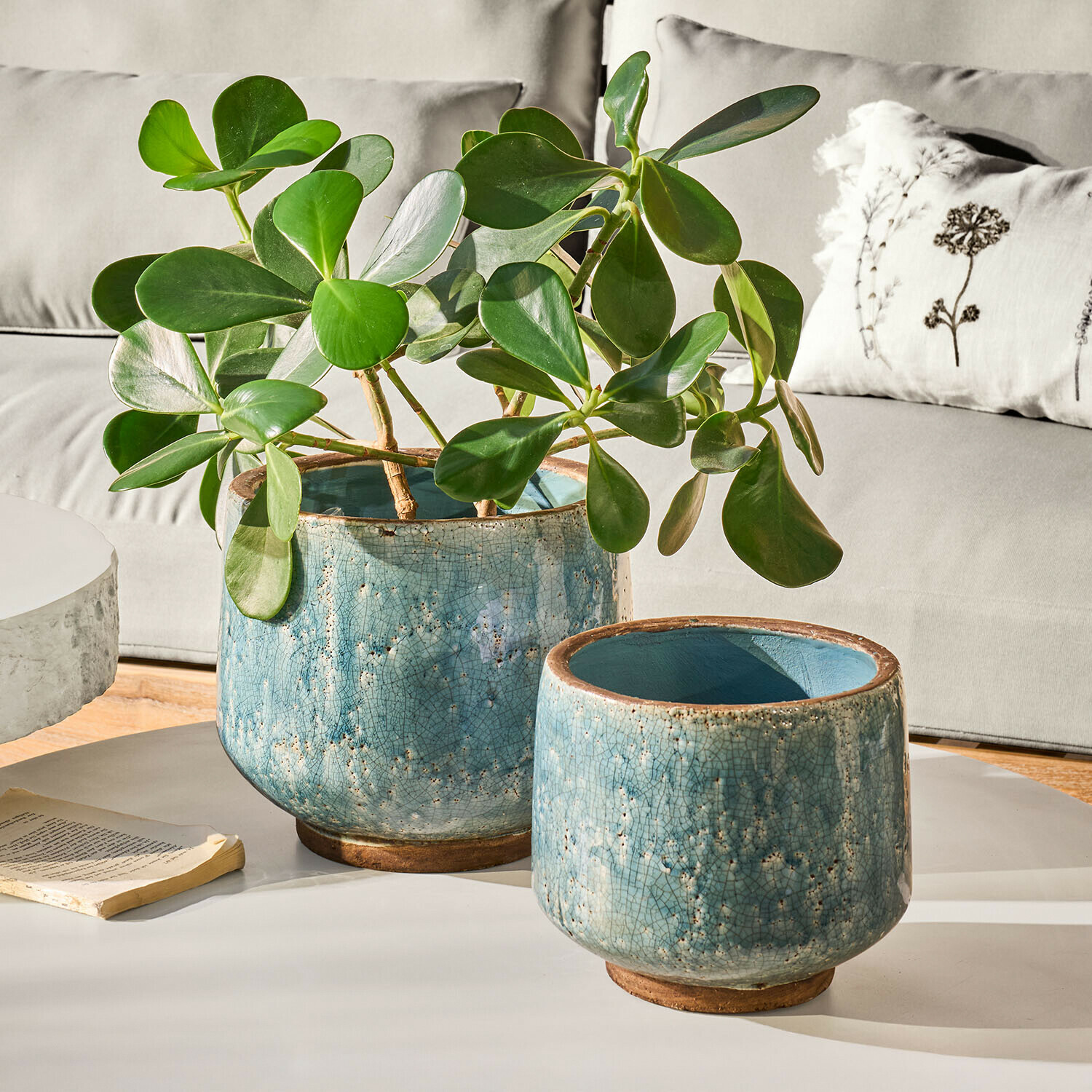 Übertopf 2er Set Mavoreta Zwei blaue Keramikblumentöpfe mit Rissglasur, einer mit grüner Pflanze, auf weißem Tisch im Wohnzimmer