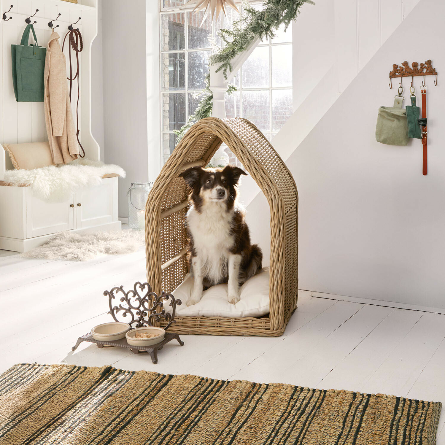 Hundehütte Muffan Hund sitzt in einem beigen Korb aus Rattan mit weißem Kissen in hellem, gemütlichem Raum