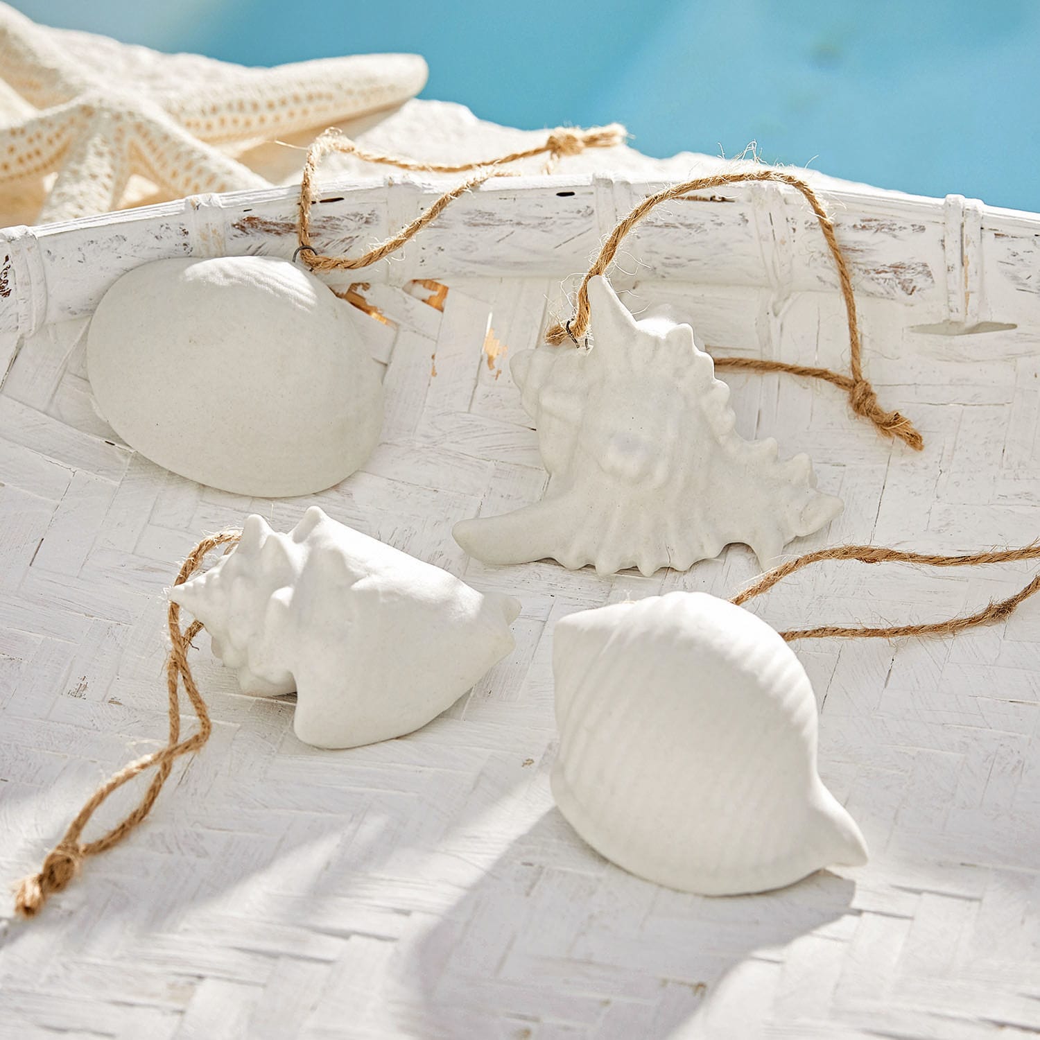 Deko-Muscheln 4er Set Maltesse