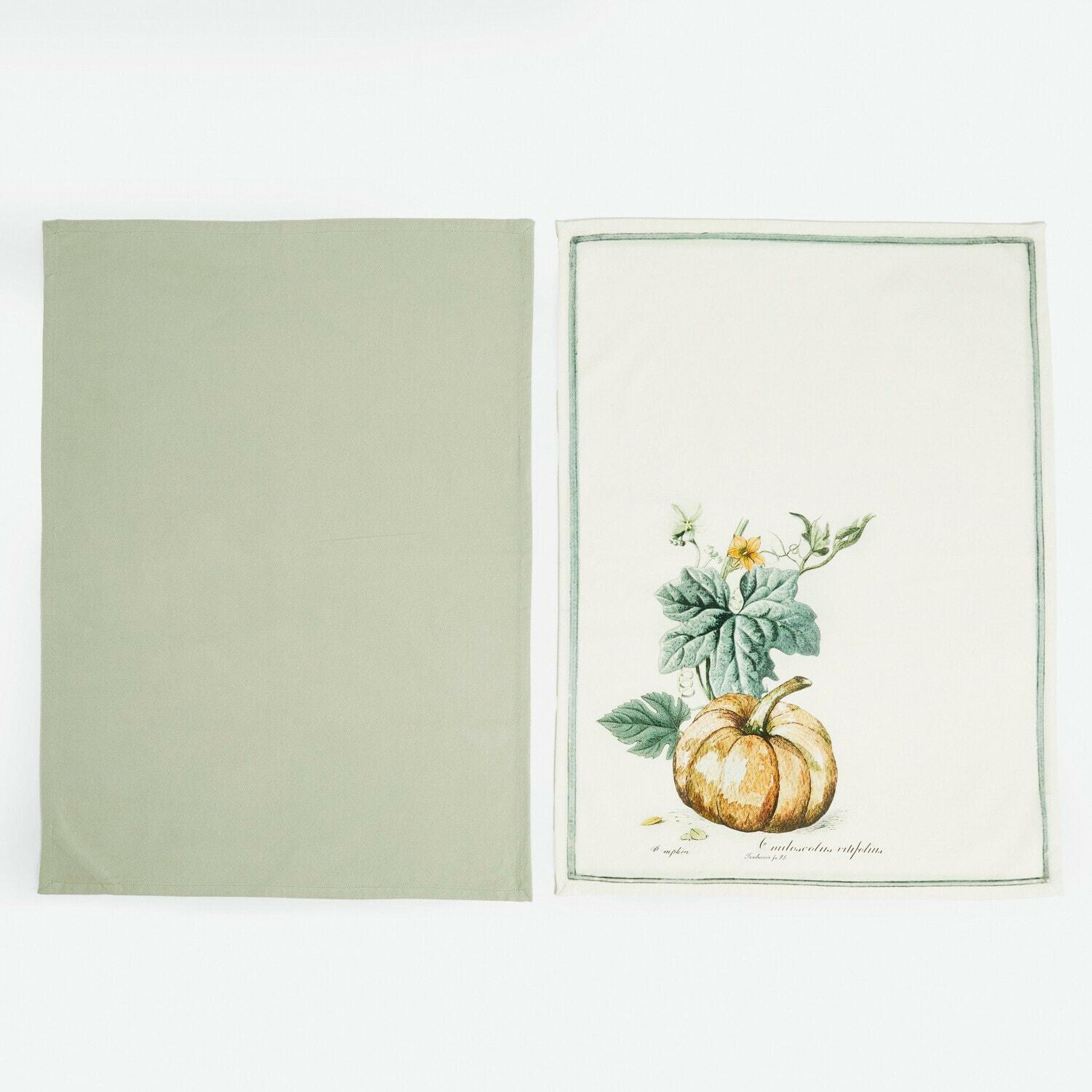 Set aus zwei Baumwoll-Geschirrtüchern in Grün und Creme mit Kürbis-Motiv für die Küche
