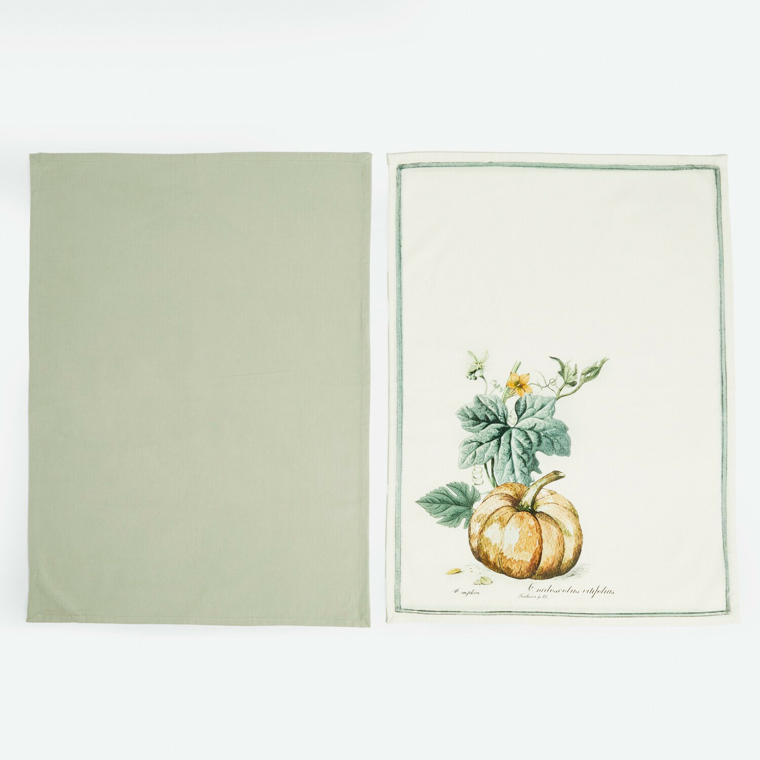 Geschirrtuch 2er Set Pavolinos Set aus zwei Baumwoll-Geschirrtüchern in Grün und Creme mit Kürbis-Motiv für die Küche