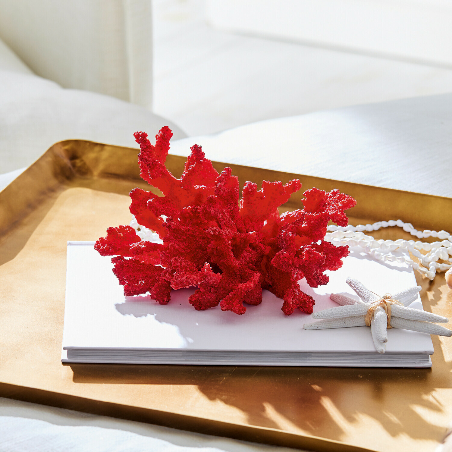 Roter dekorativer Korallenast auf weißem Untergrund mit maritimen Deko-Elementen