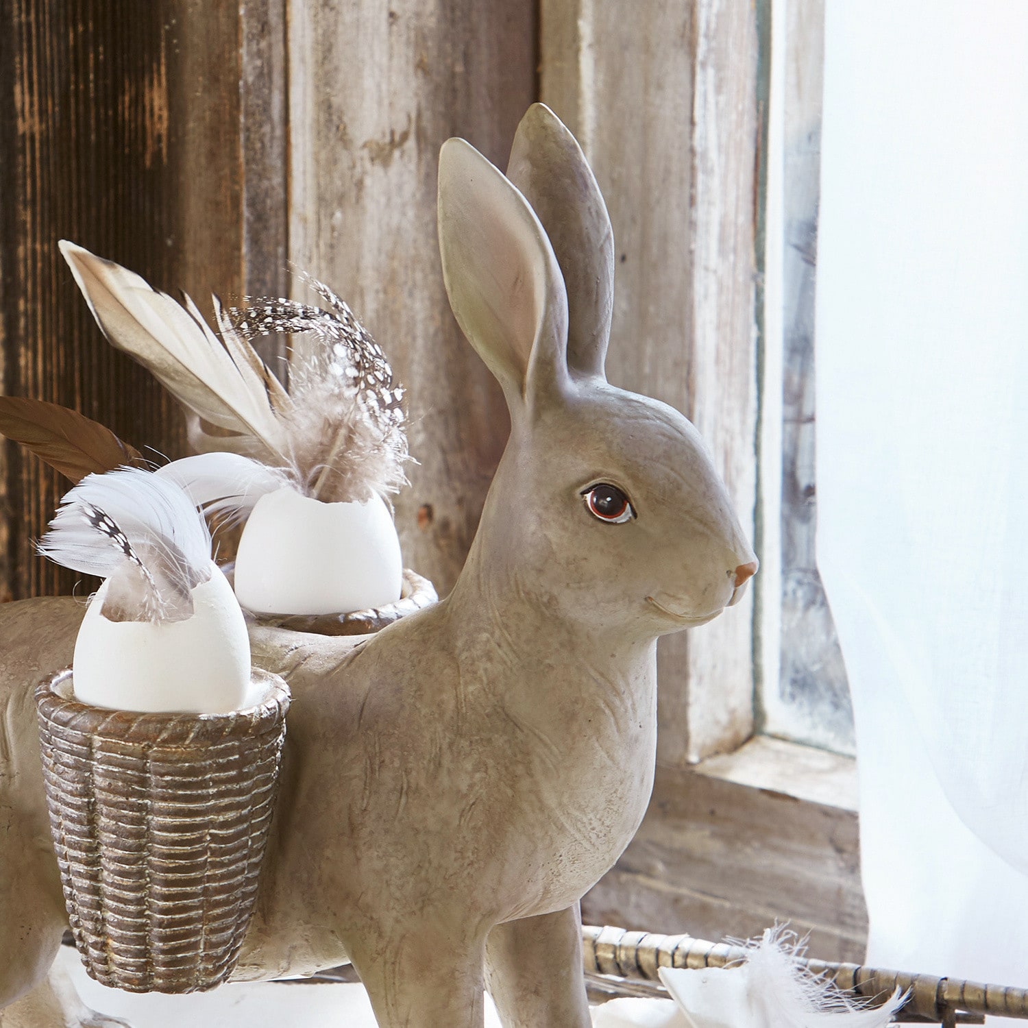 Hase Helenia