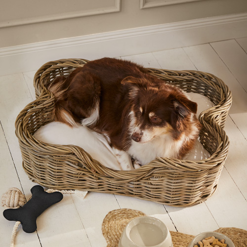 Schlafplätze & Möbel