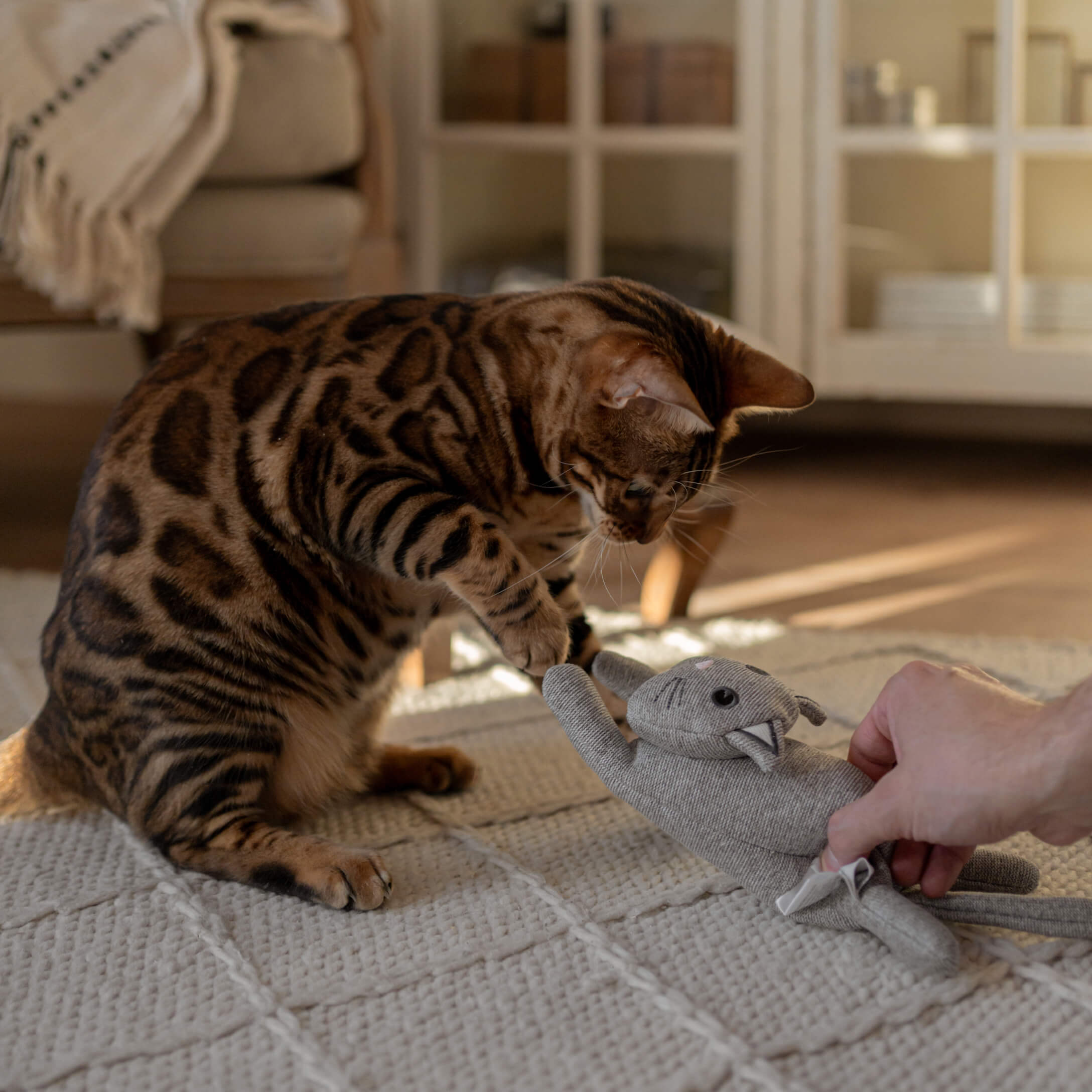 Braune Bengalkatze spielt mit grauem Plüschtier auf hellem Teppich im Wohnzimmer