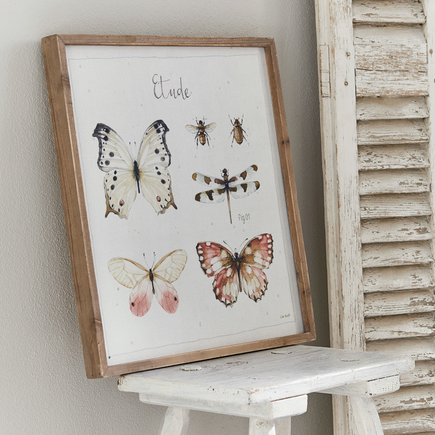 Bild Etude