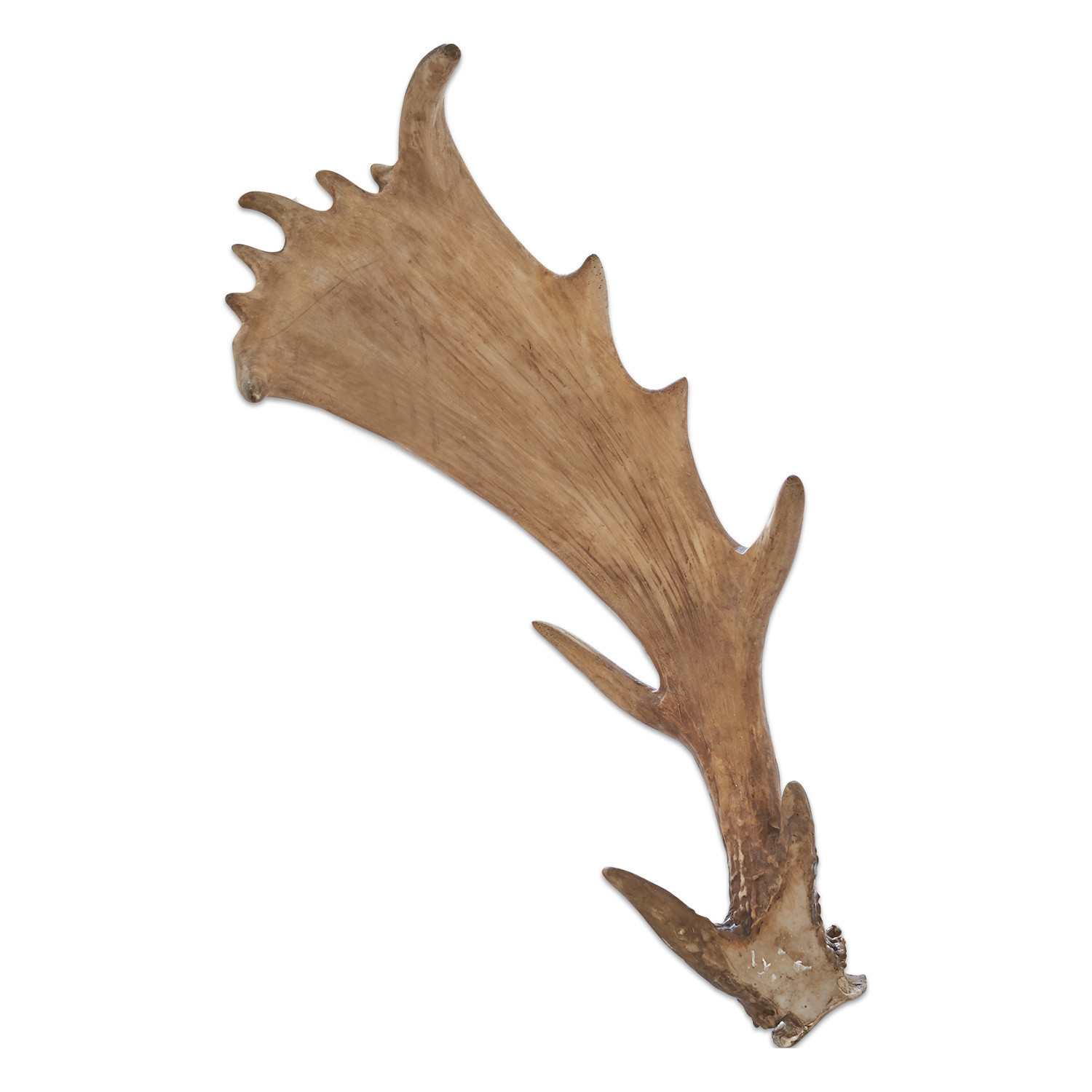 Deko-Geweih Laurence