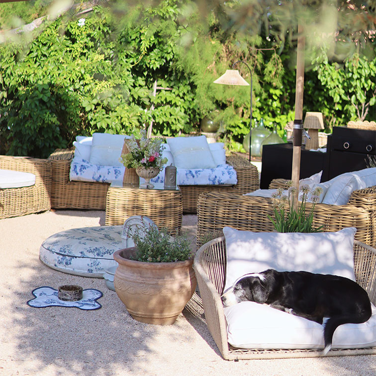 Gartenmöbel aus natürlichem Rattan mit blauen Blumenkissen, schwarzer Hund liegt auf weißem Sessel