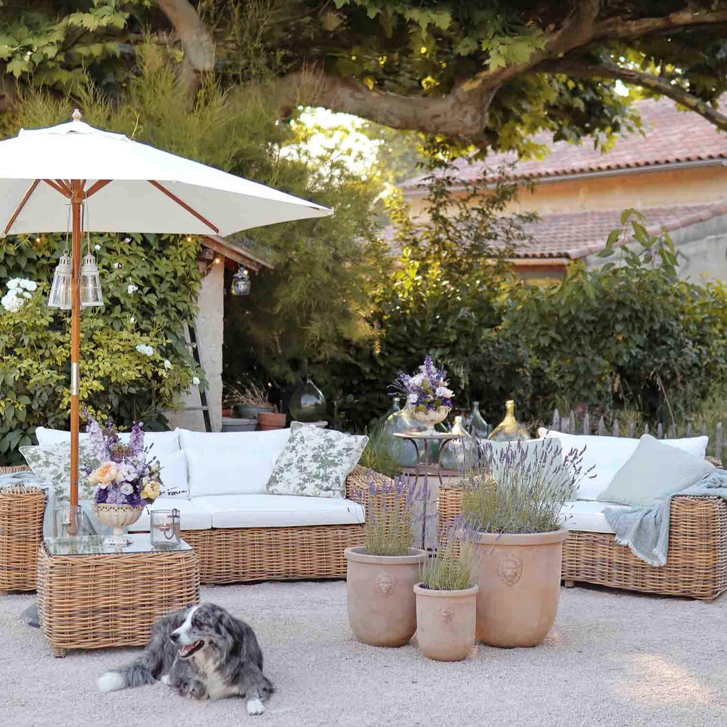 Rattan-Gartenmöbel mit weißen Kissen und Lavendeltöpfen auf Terrasse mit liegendem Hund