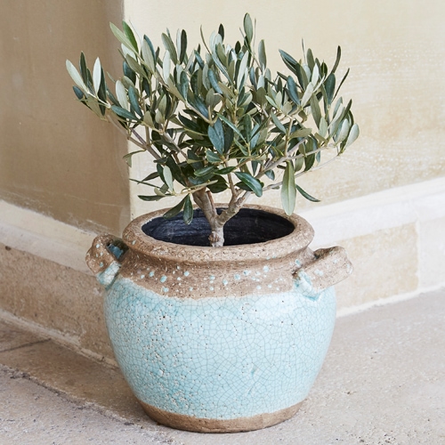Keramiktopf in Hellblau und Beige mit Pflanze, dekorativer Garten- und Wohnaccessoire