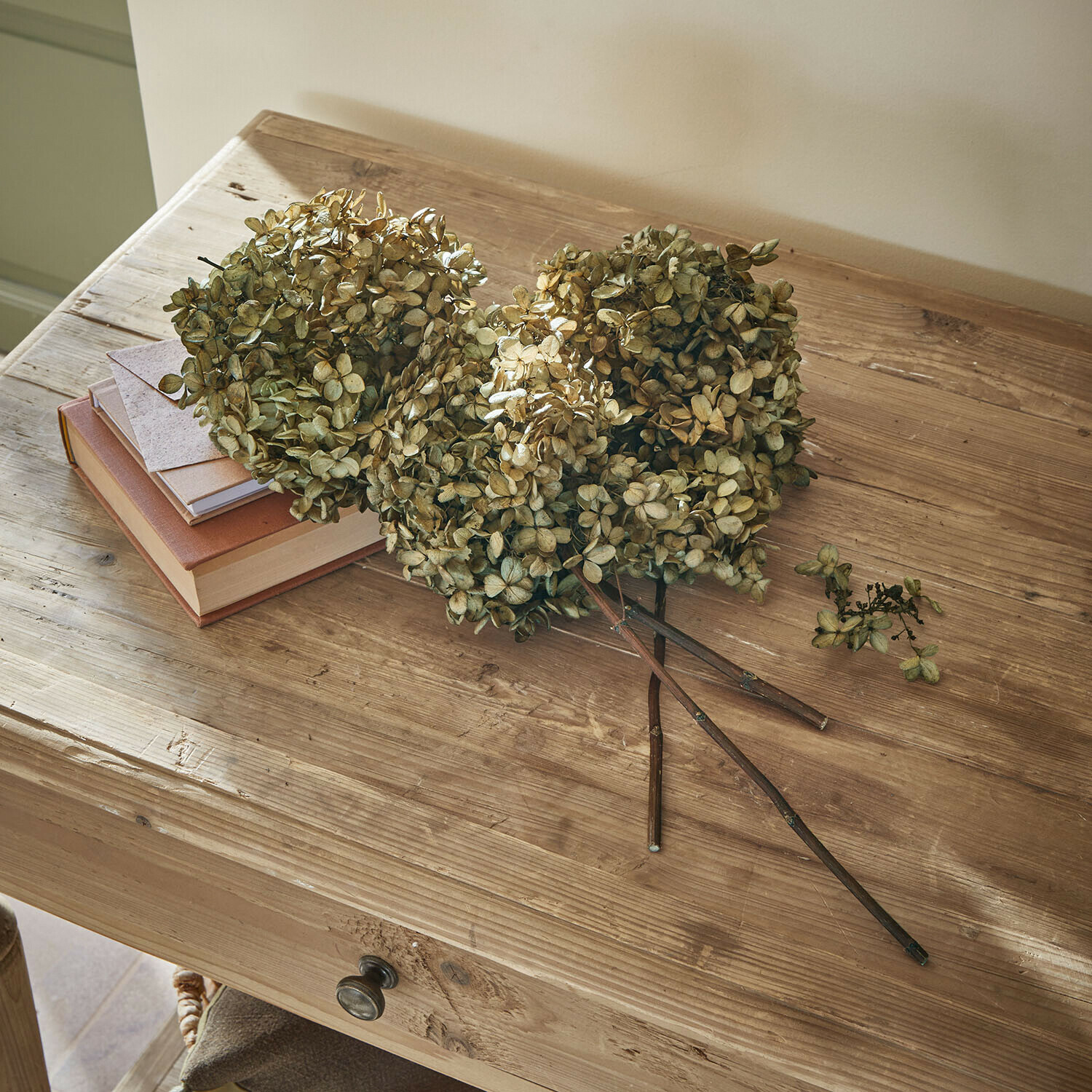 Trockenblume 3er Set Brissonne Getrocknete beige Hortensienblüten auf einem Holztisch mit Büchern und einem Briefumschlag