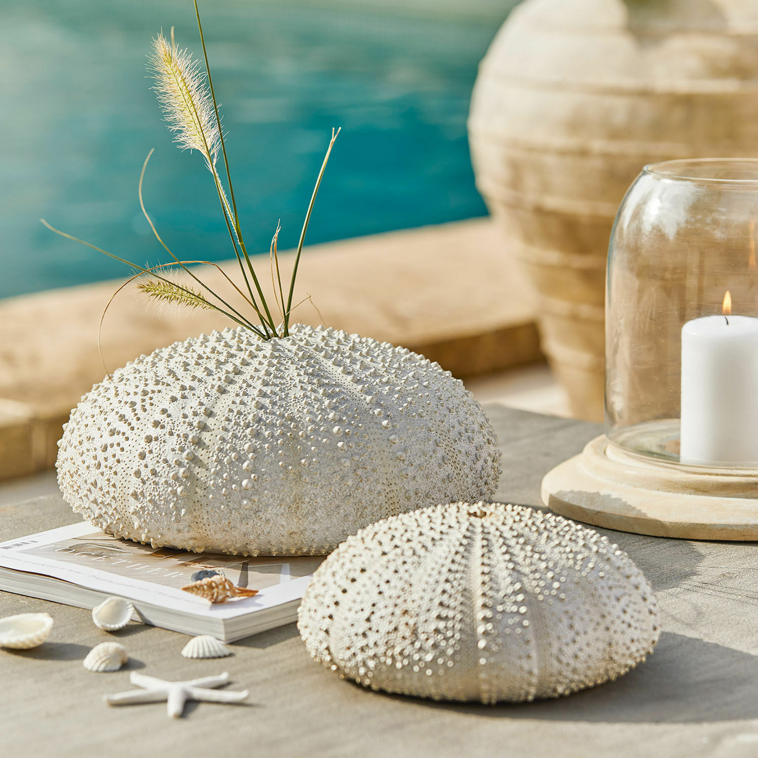 Deko-Seeigel 2er Set Kimbar Dekorative weiße Seeigel aus Muschelmaterial mit Gräsern und Kerze im maritimen Stil