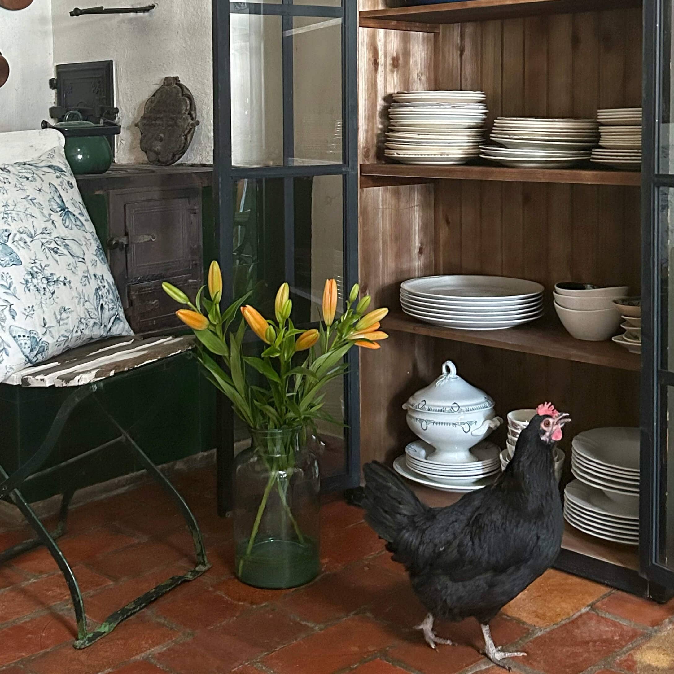 Schwarzes Huhn vor Holzvitrine mit weißem Porzellan und orangefarbenen Lilien in Glasvase auf rotem Fliesenboden