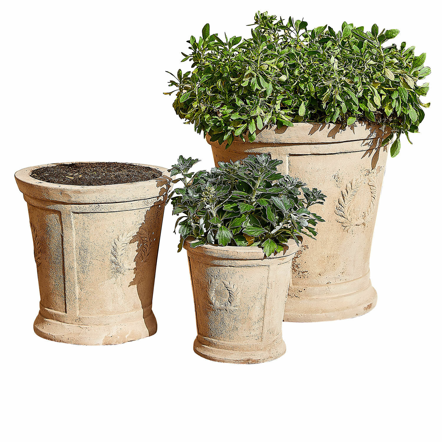 Übertopf 3er Set Nesrin Set aus drei beigen Terrakotta-Blumentöpfen mit Pflanzen, ideal für Garten und Wohnraumdekoration