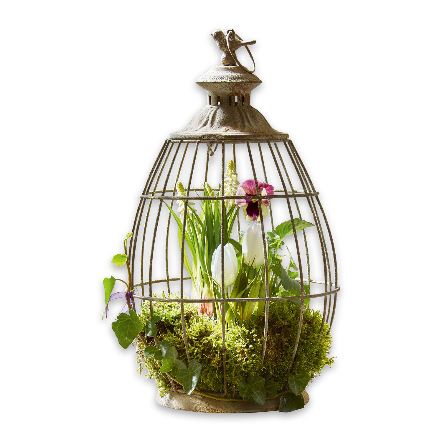 Laterne Morena Dekorativer Metallkäfig mit Vogel, grünem Moos und Blumen innen, Wohnaccessoire