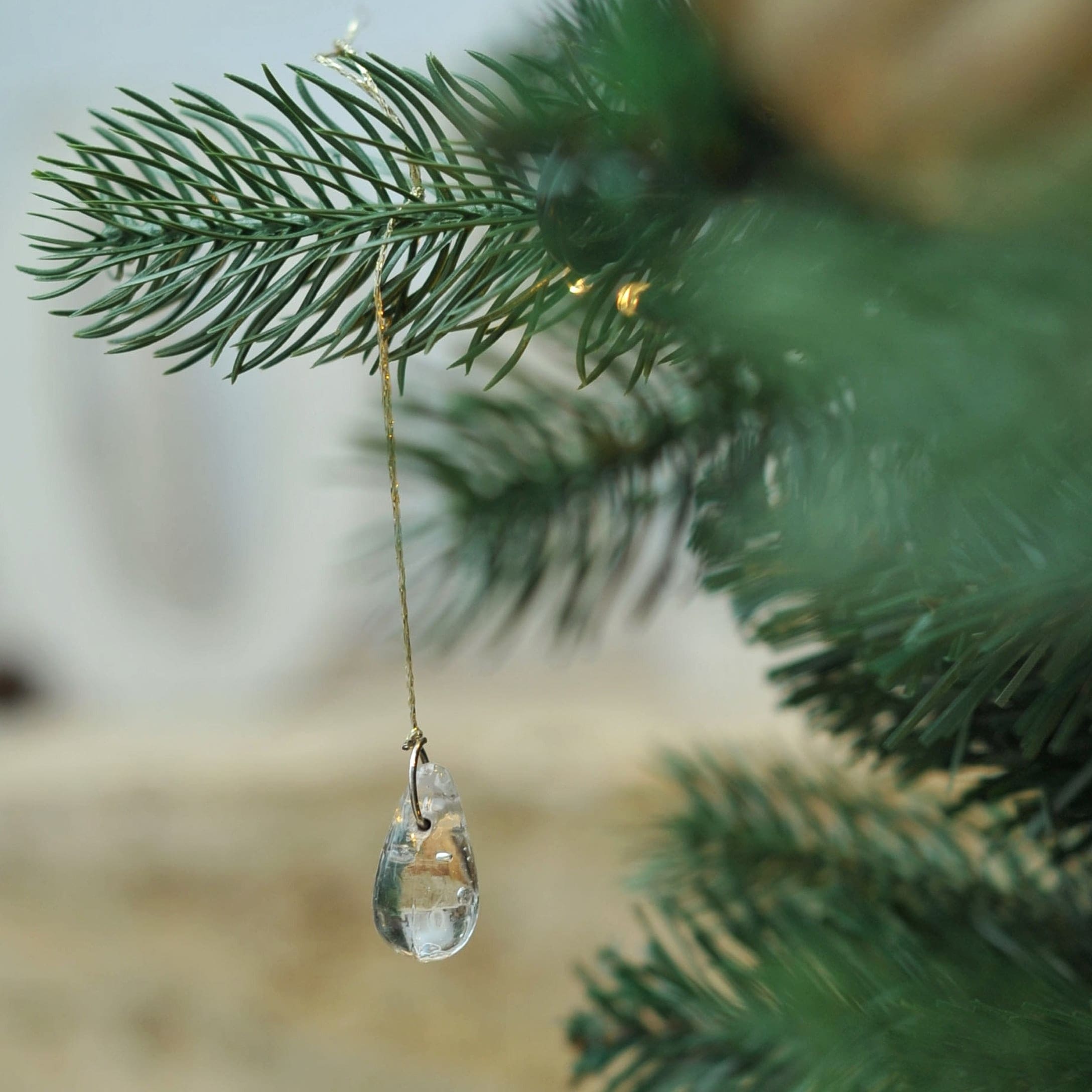 Transparenter Glasanhänger an grüner Tannenzweig im hellen Wintergarten-Dekor