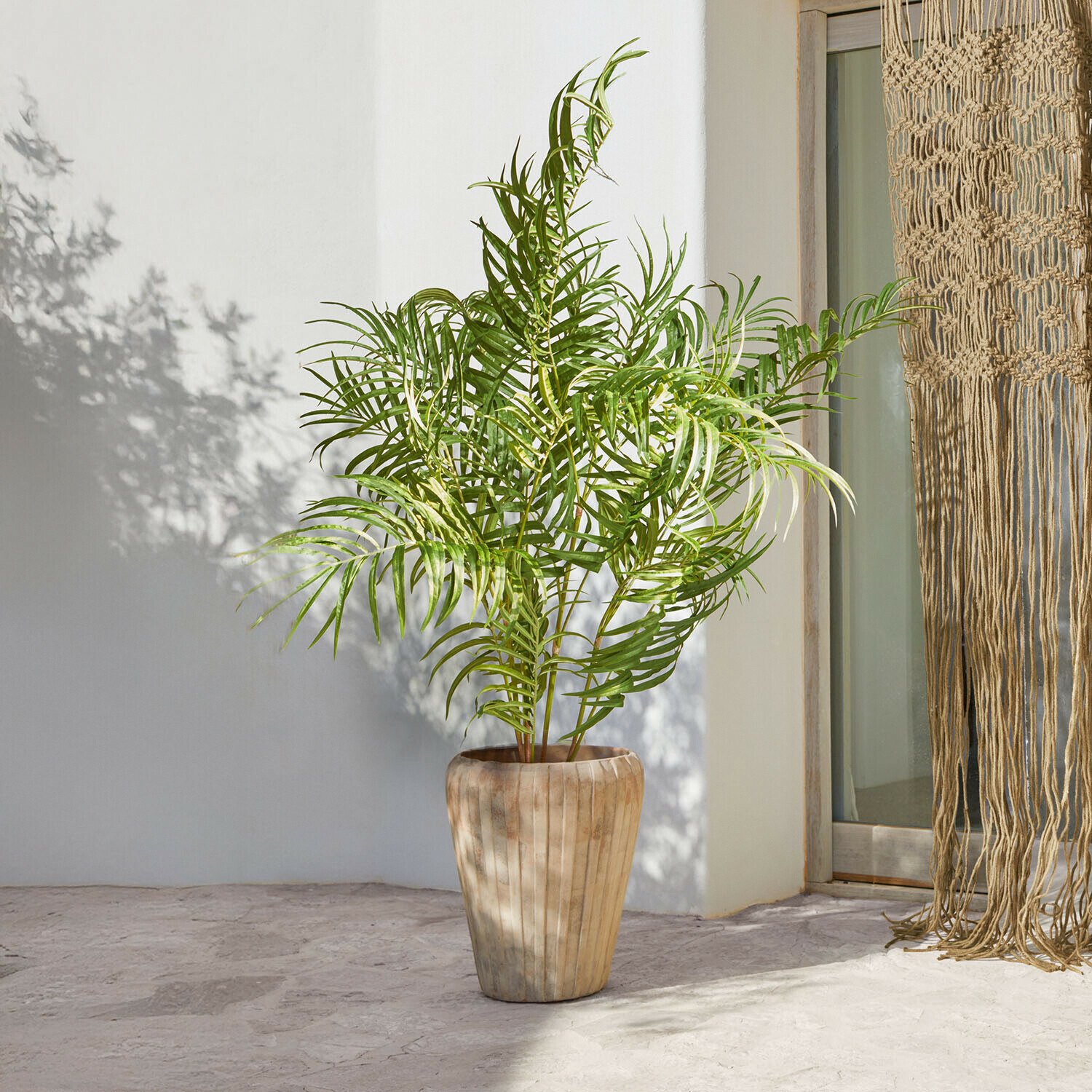 Deko-Palmenplanze Mersina Hoher Blumentopf aus Holz in Naturfarbe mit grüner Palmenpflanze vor hellem Hintergrund