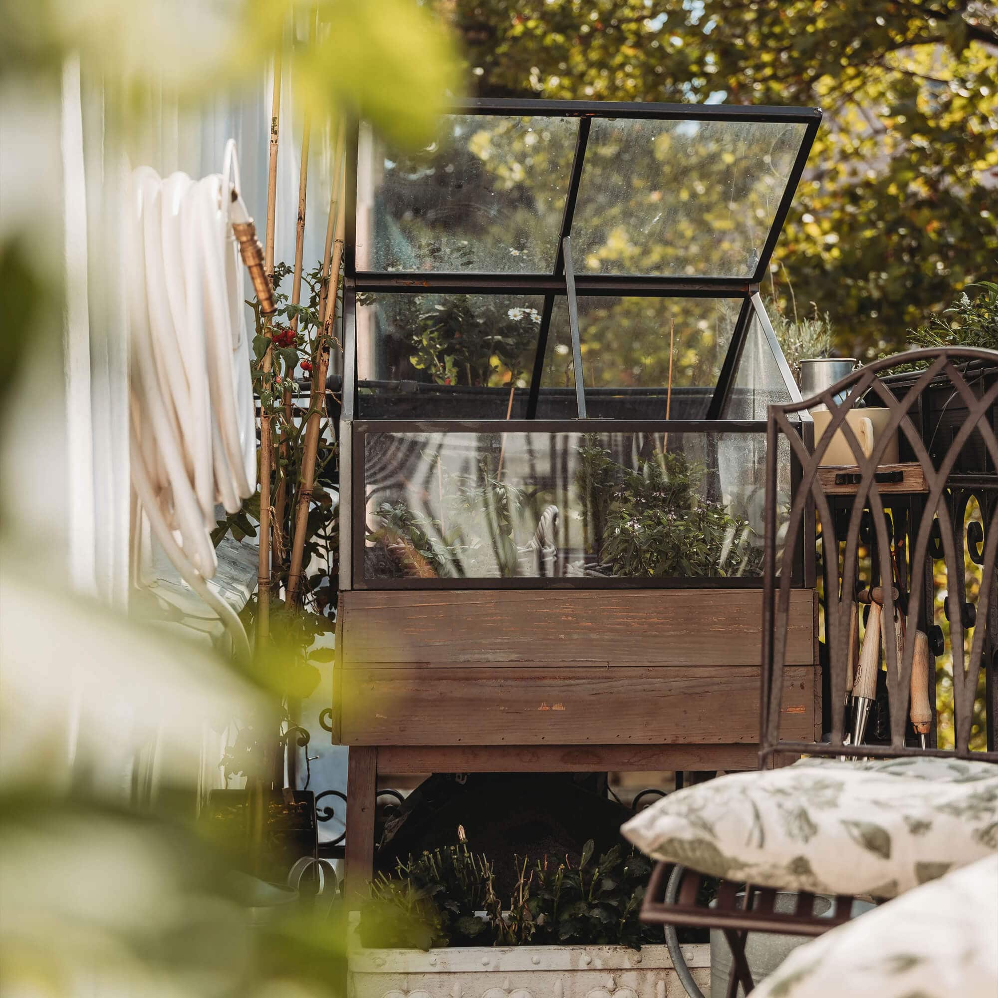 Kleine hölzerne Gartengewächshaus mit Pflanzen und Gartengeräten auf Terrasse im Sonnenlicht