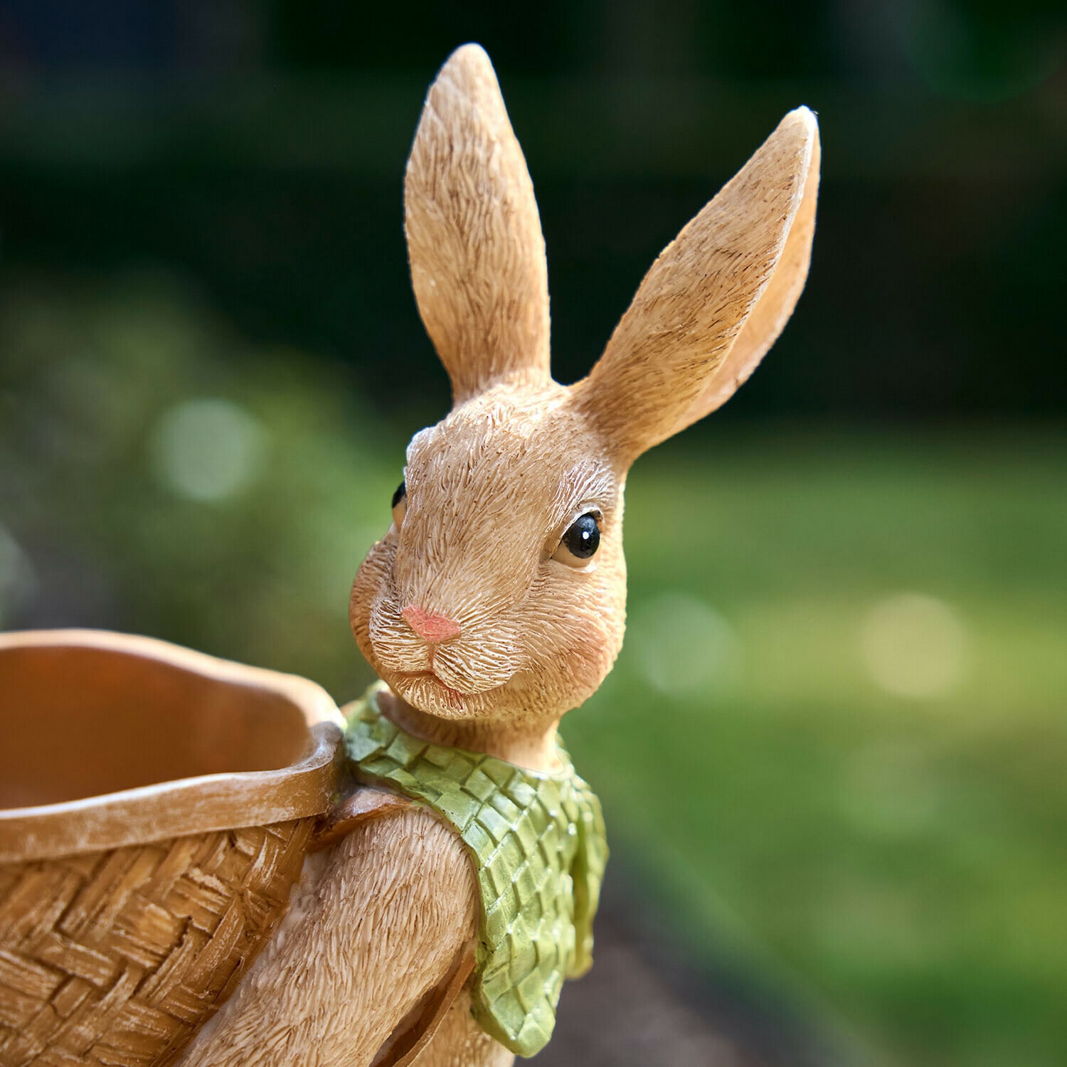 Hasen Bramblet