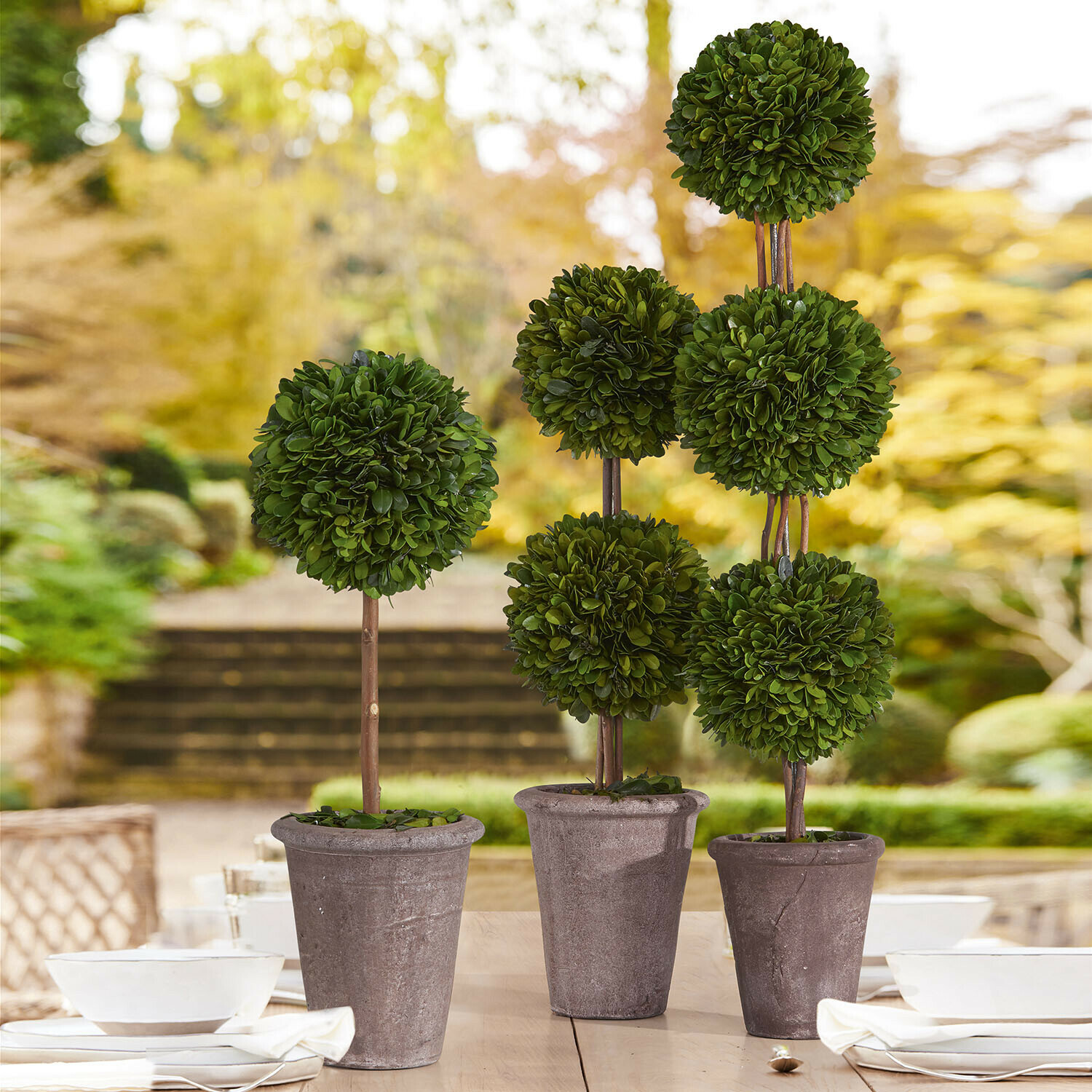 Deko-Baum 3er Set Dunjes Dekorative künstliche Bäumchen in Tontöpfen mit grünen Kugelblättern auf Gartentisch