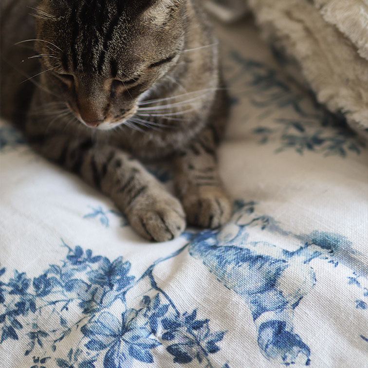 Grau getigerte Katze auf weißem Stoff mit blauem Blumenmuster, weiche Wohntextilie