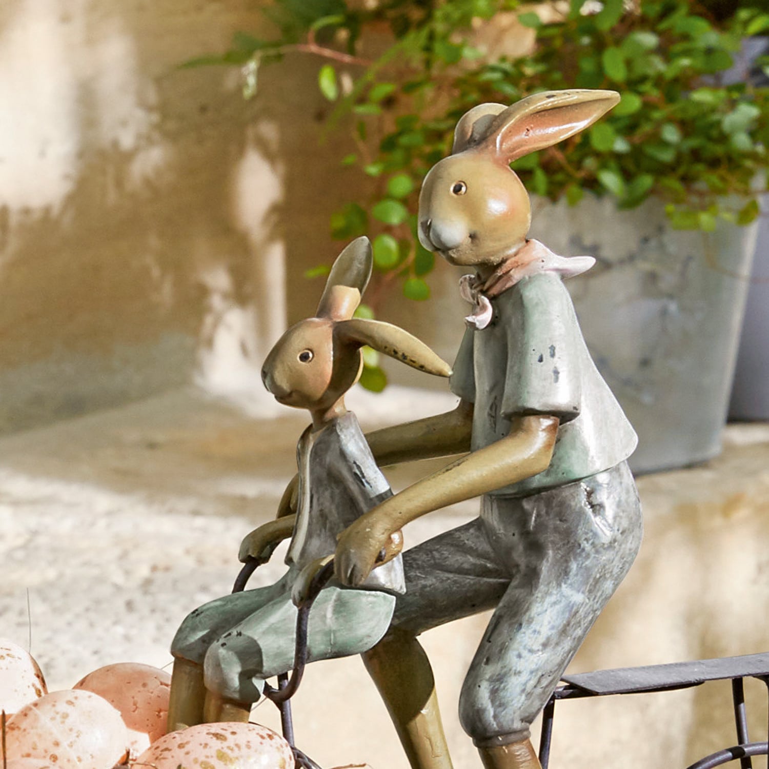 Hase Caen
