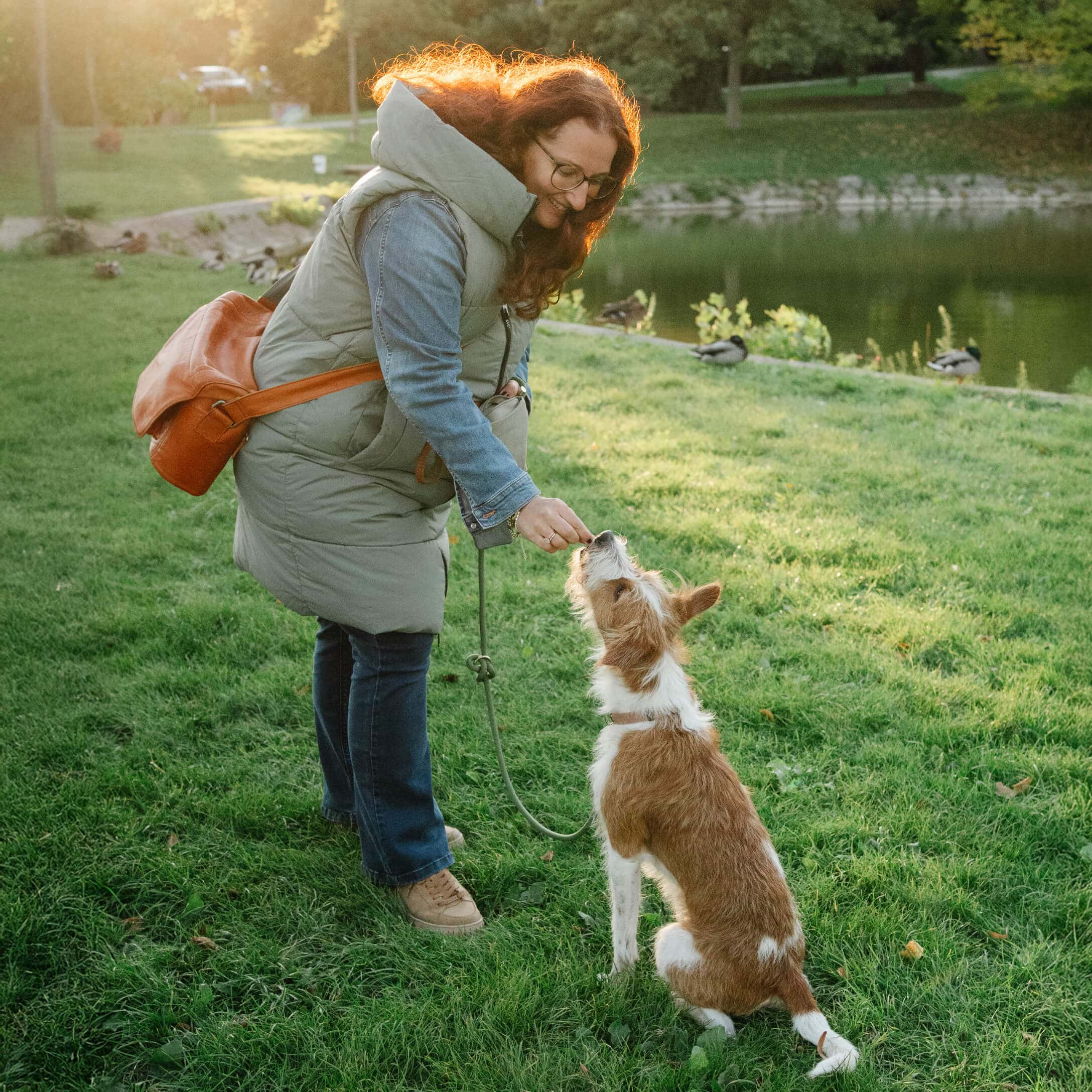 Frau in grüner Weste und blauer Jeans füttert Hund auf grünem Gras im Park bei Sonnenlicht